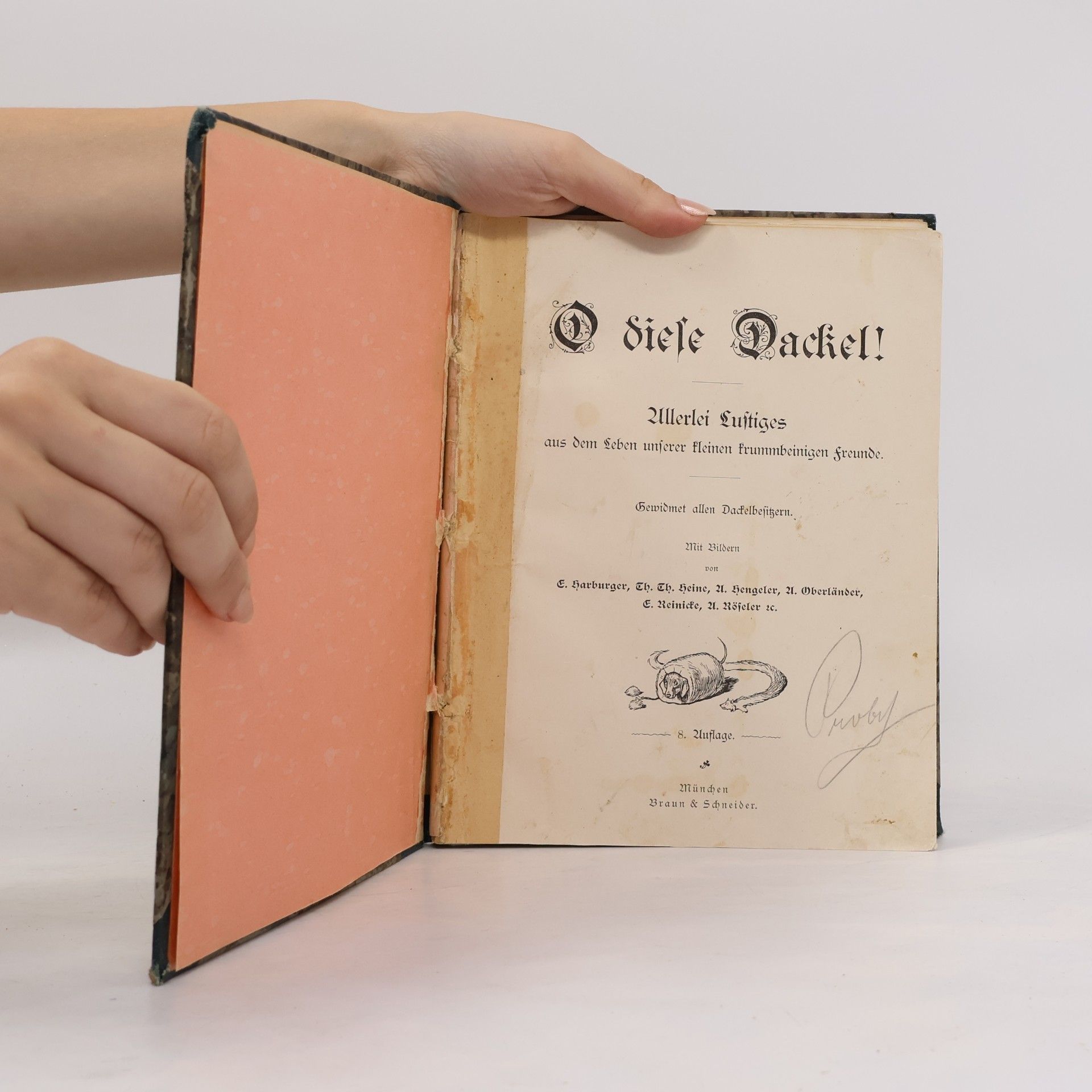 Autorenkollektiv O diese Dackel!