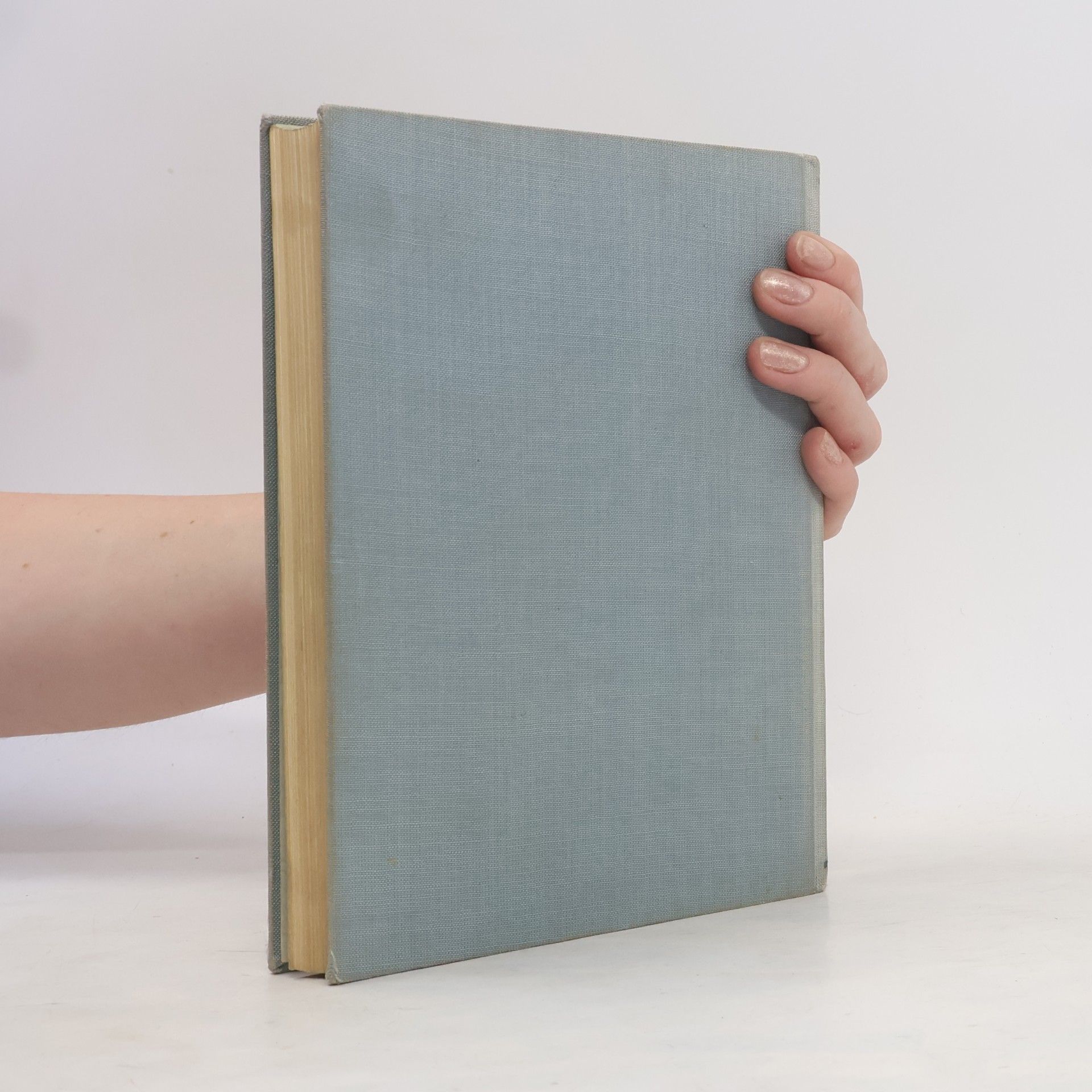 Alexandre Dumas starší Tři Mušketýři ještě po deseti letech (Vikomt de Bragelonne) I.