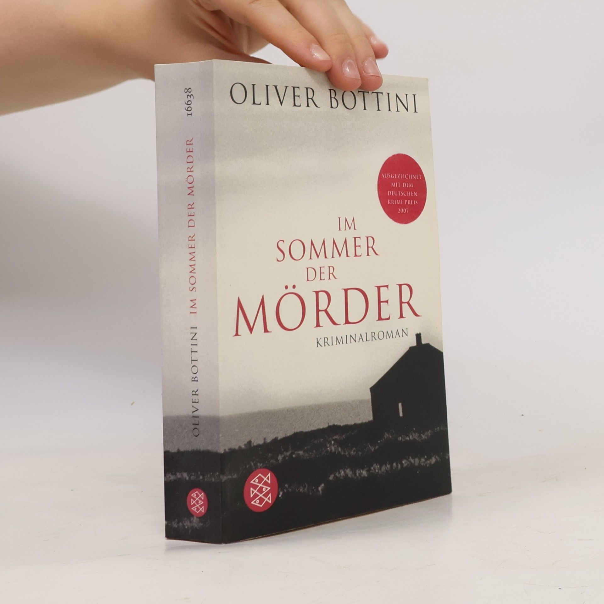 Oliver Bottini Im Sommer der Mörder