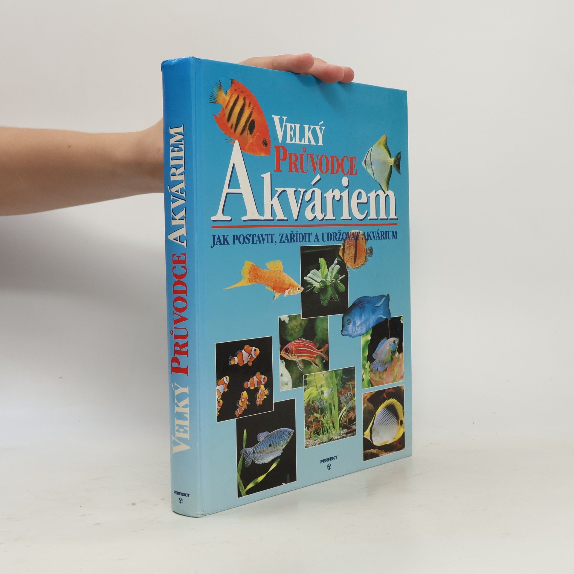 Thierry Maitre Allain Velký průvodce akváriem