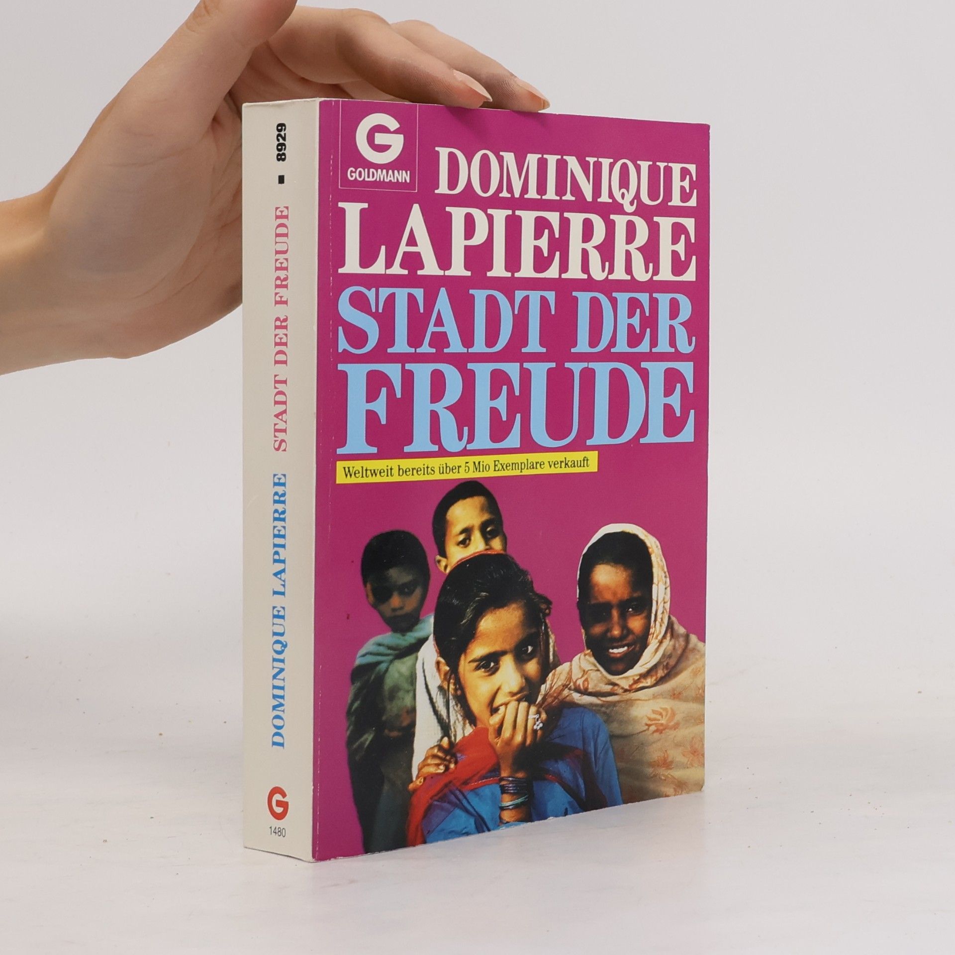 Dominique Lapierre Stadt der Freude
