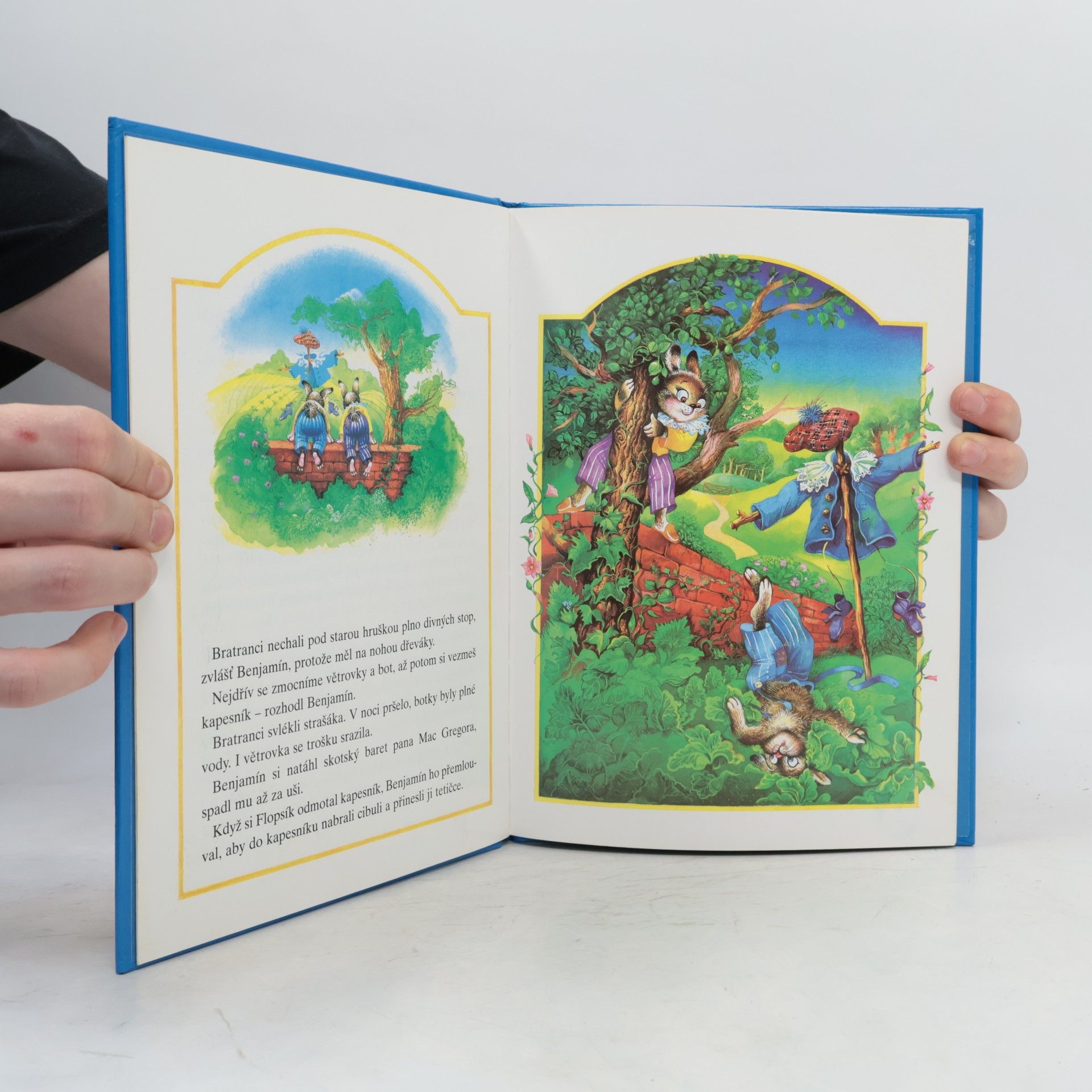 Beatrix Potter Flopsík a Chundelatý ocásek