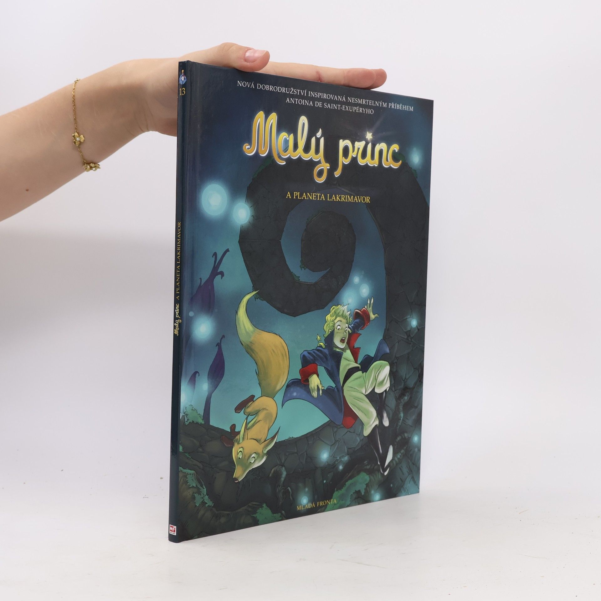 Delphine Dubos Malý princ a planeta Lakrimavor