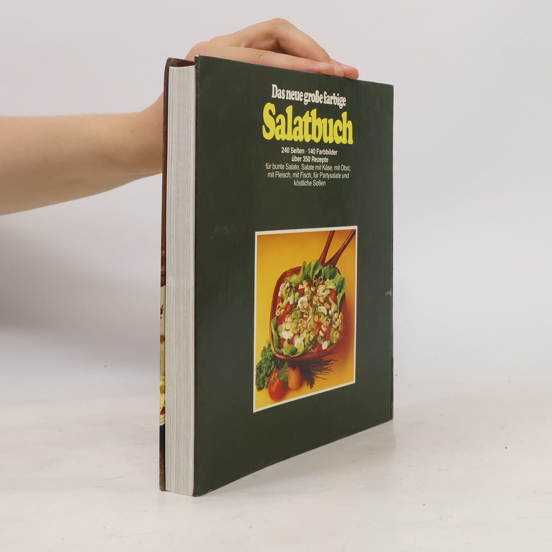 Heidi Freund Das neue grosse farbige Salatbuch