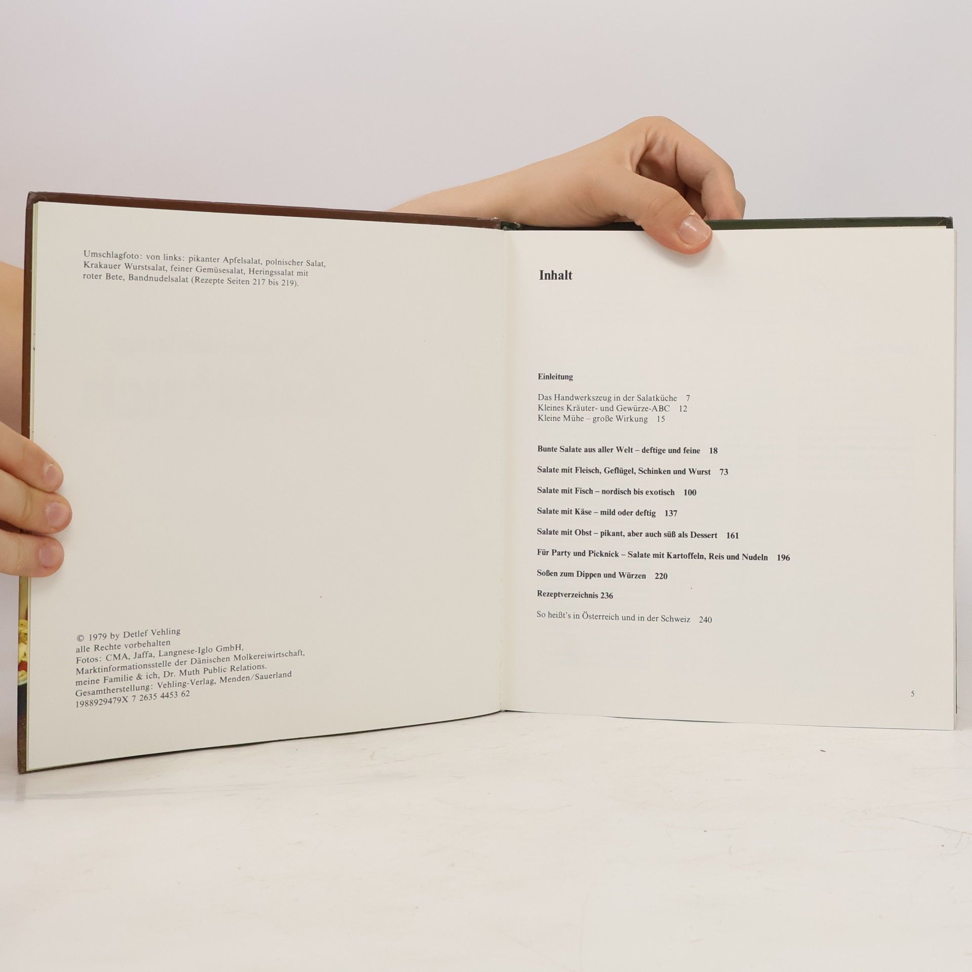 Heidi Freund Das neue grosse farbige Salatbuch