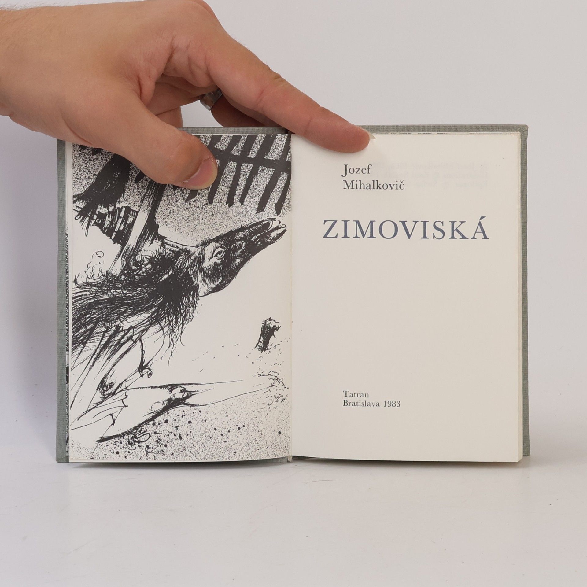 Jozef Mihalkovič Zimoviská