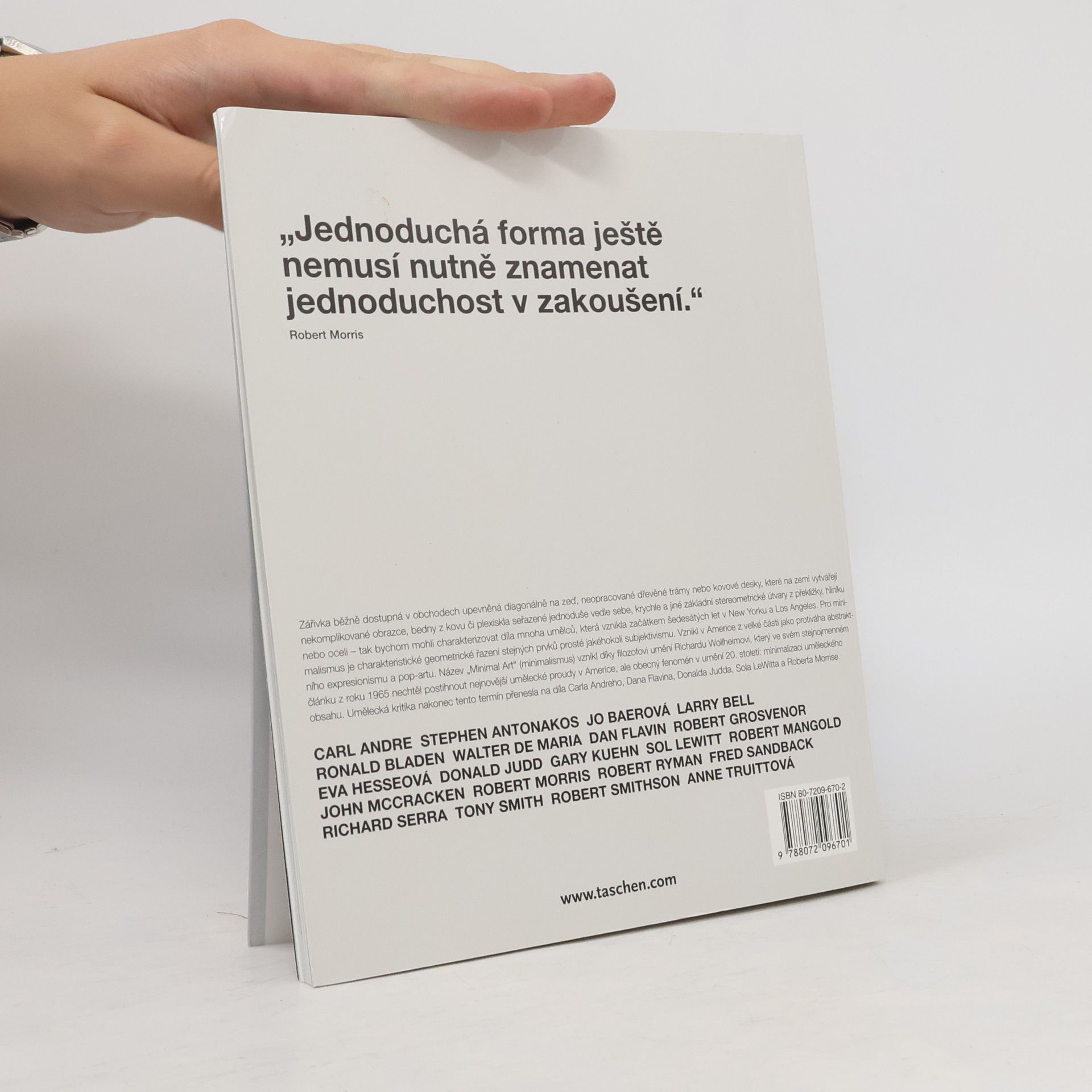 Daniel Marzona Minimalismus