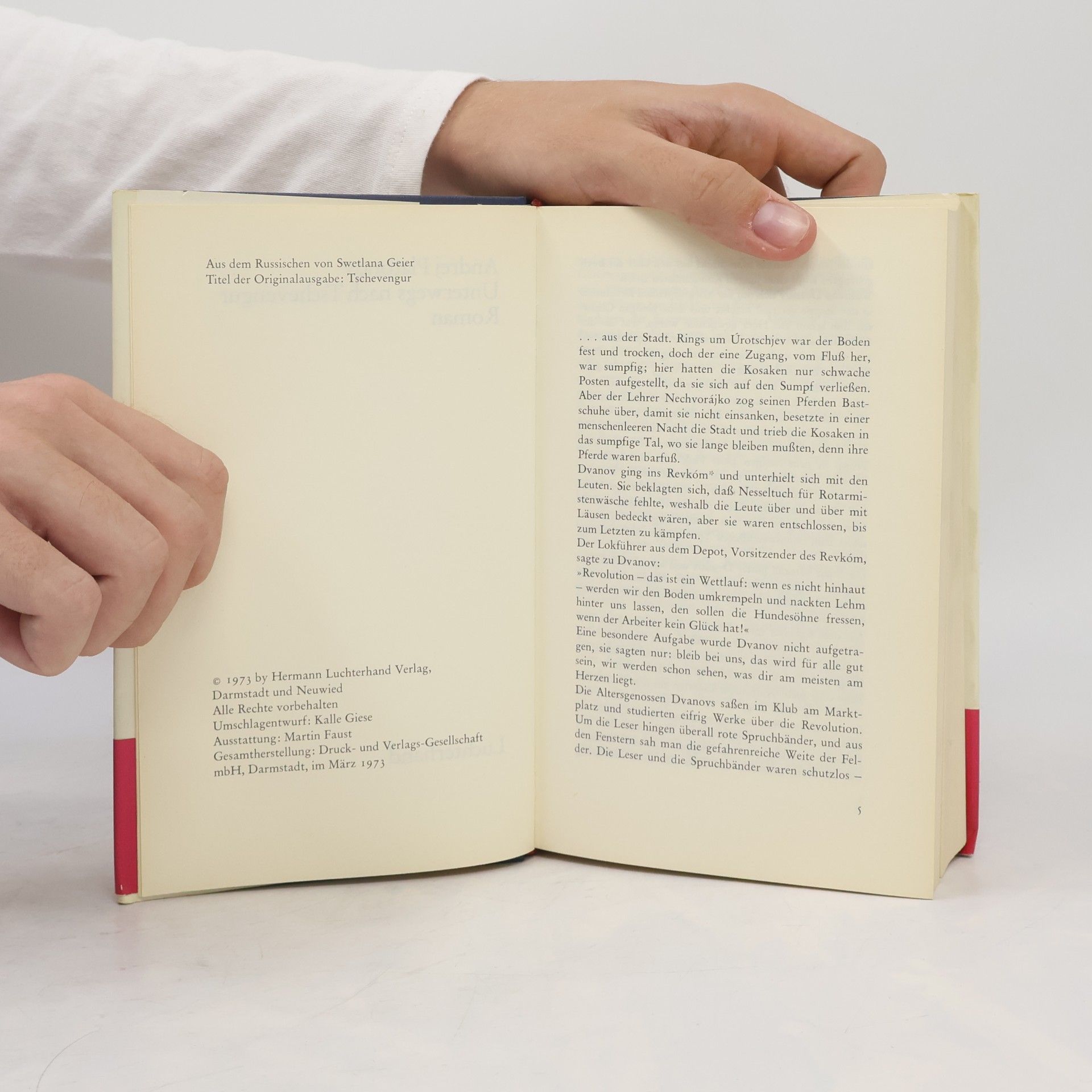 Andrei Platonov Unterwegs nach Tschevengur