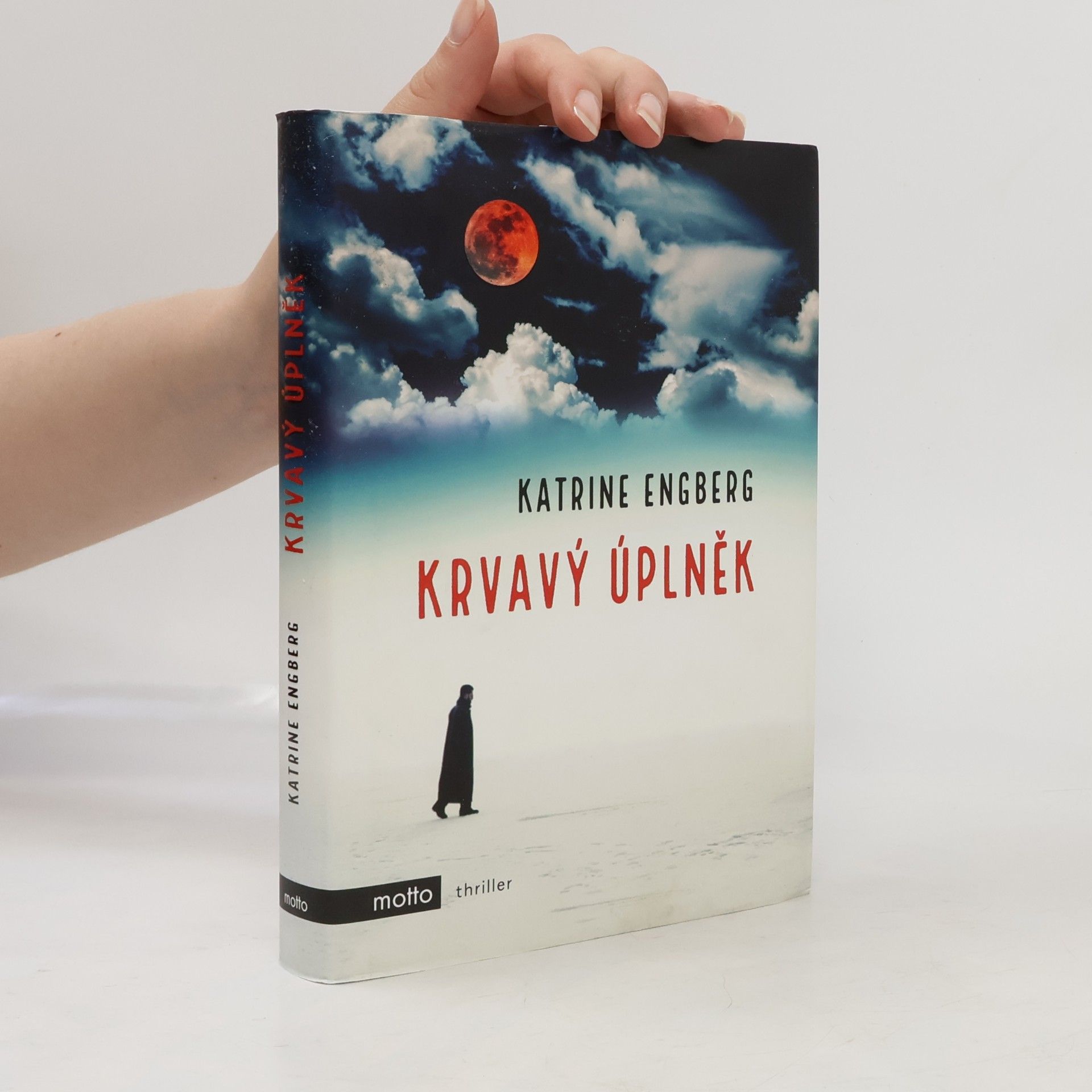 Katrine Engberg Krvavý úplněk