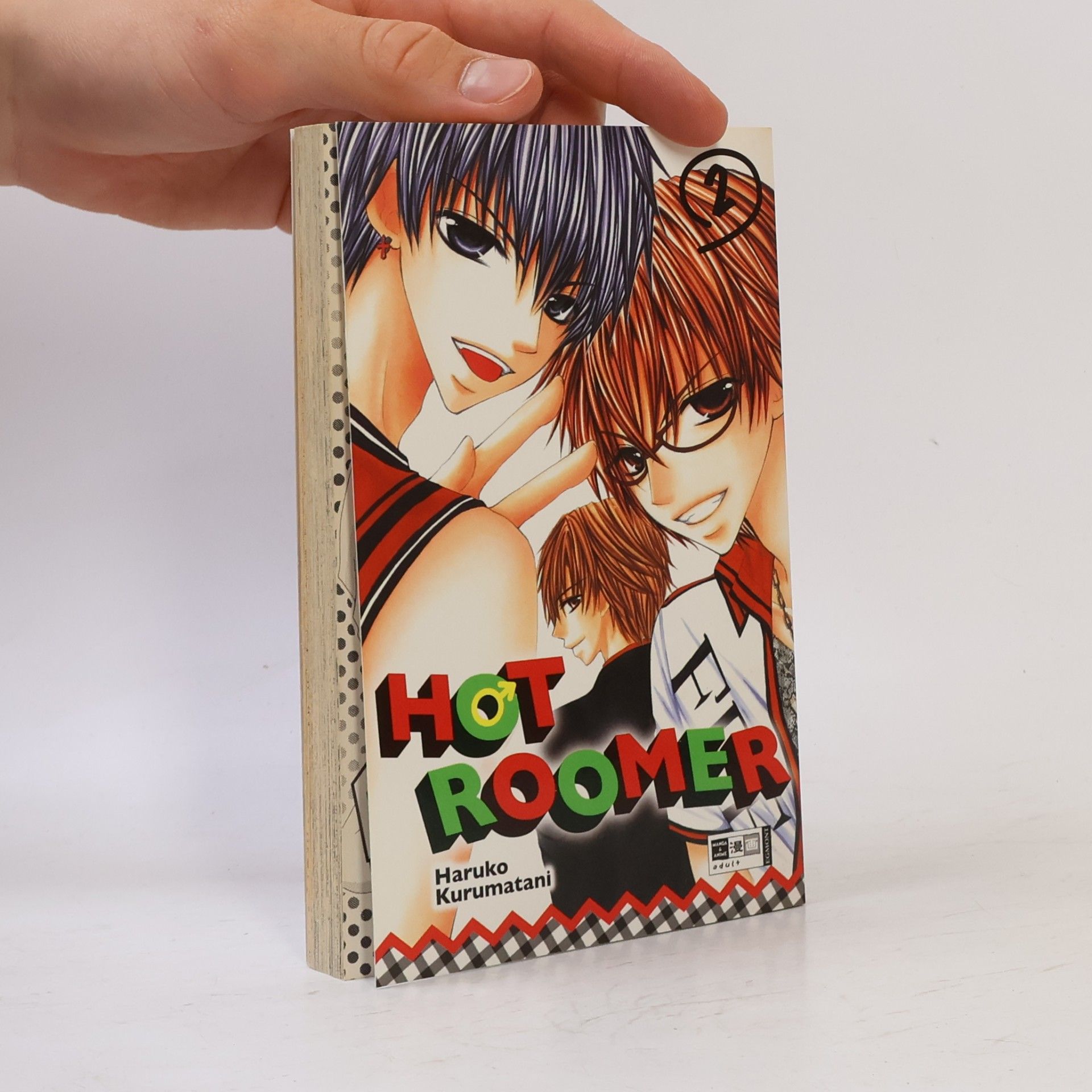Autores varios Hot roomer 2
