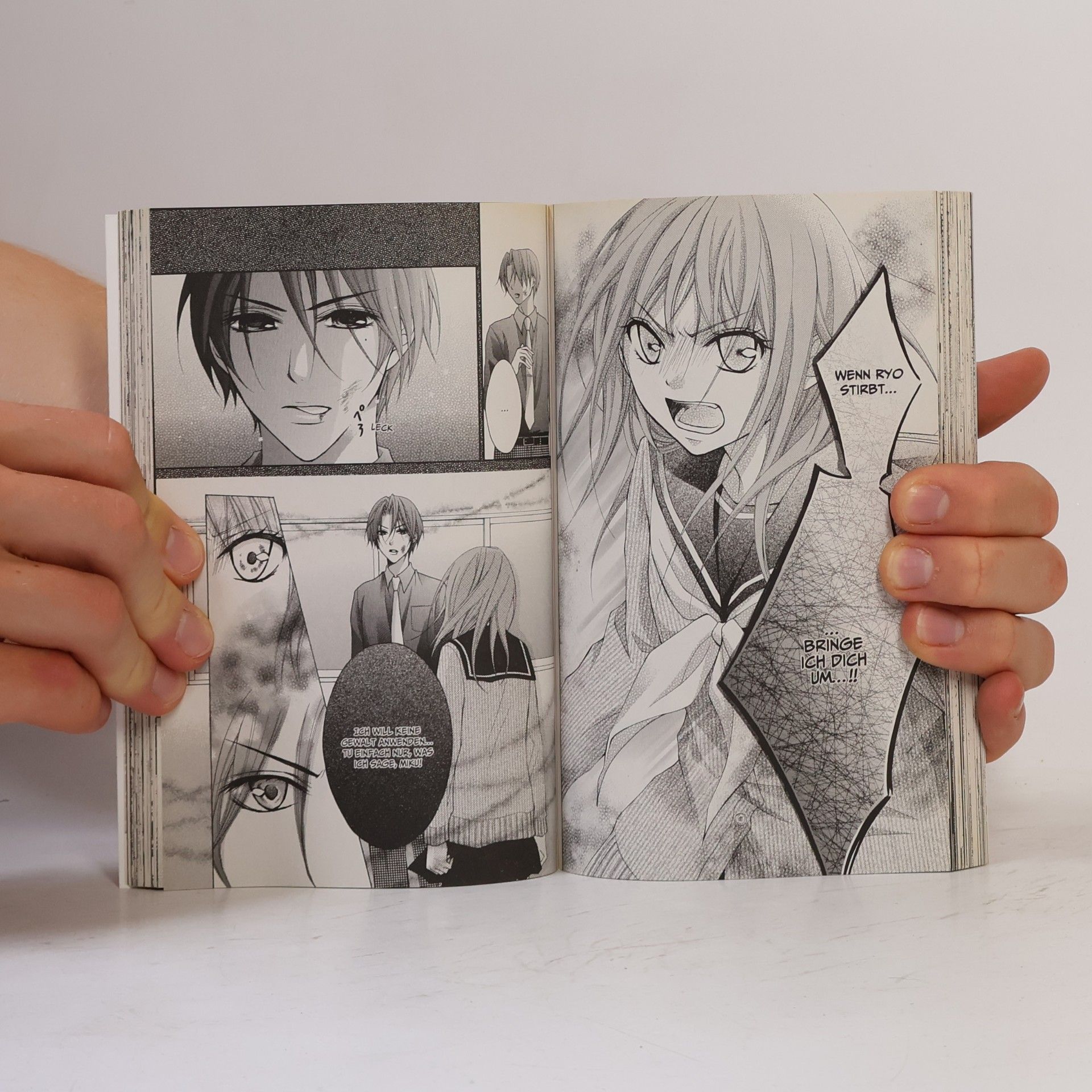 Kyoko Kumagai Der purpurne Fächer