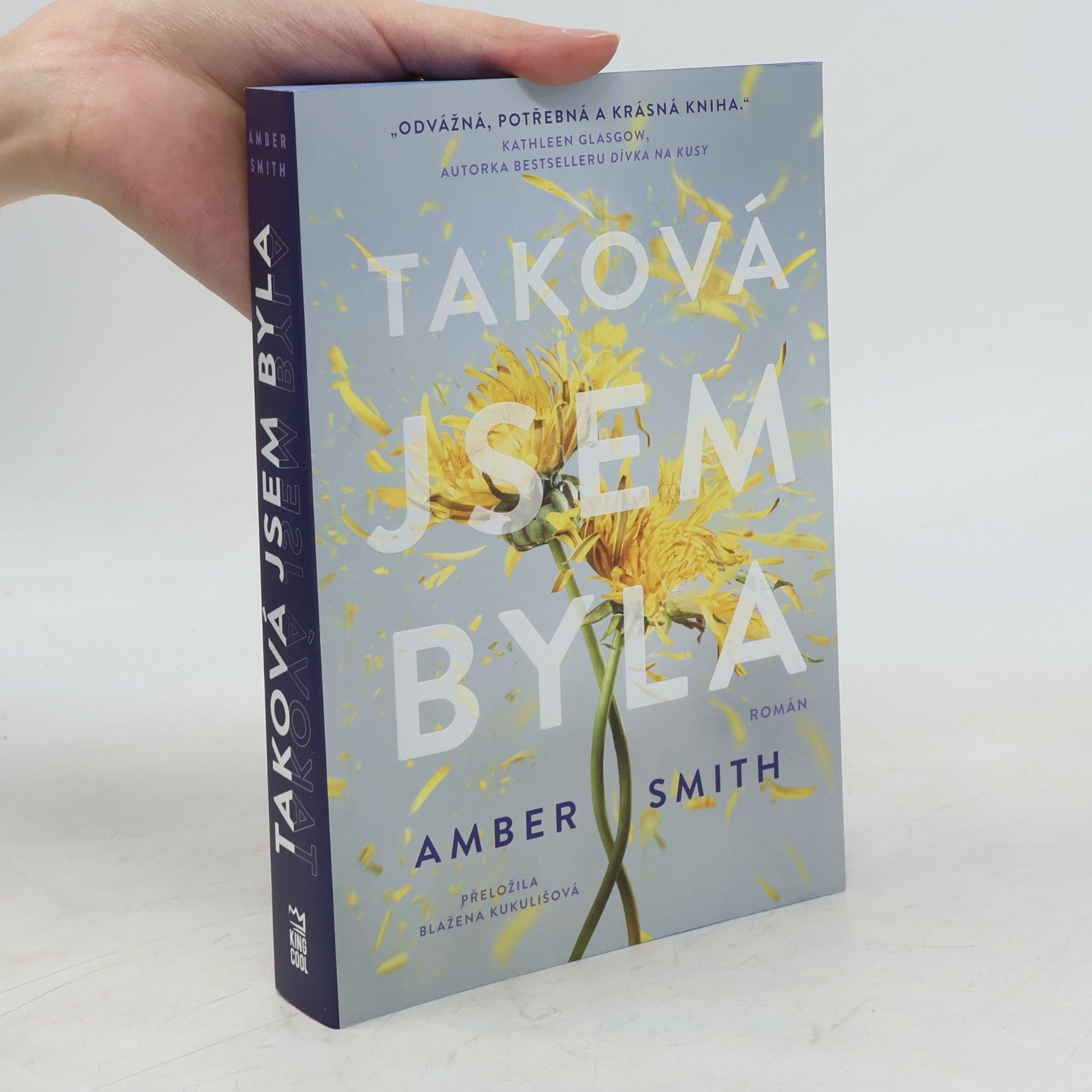Amber Smith Taková jsem byla