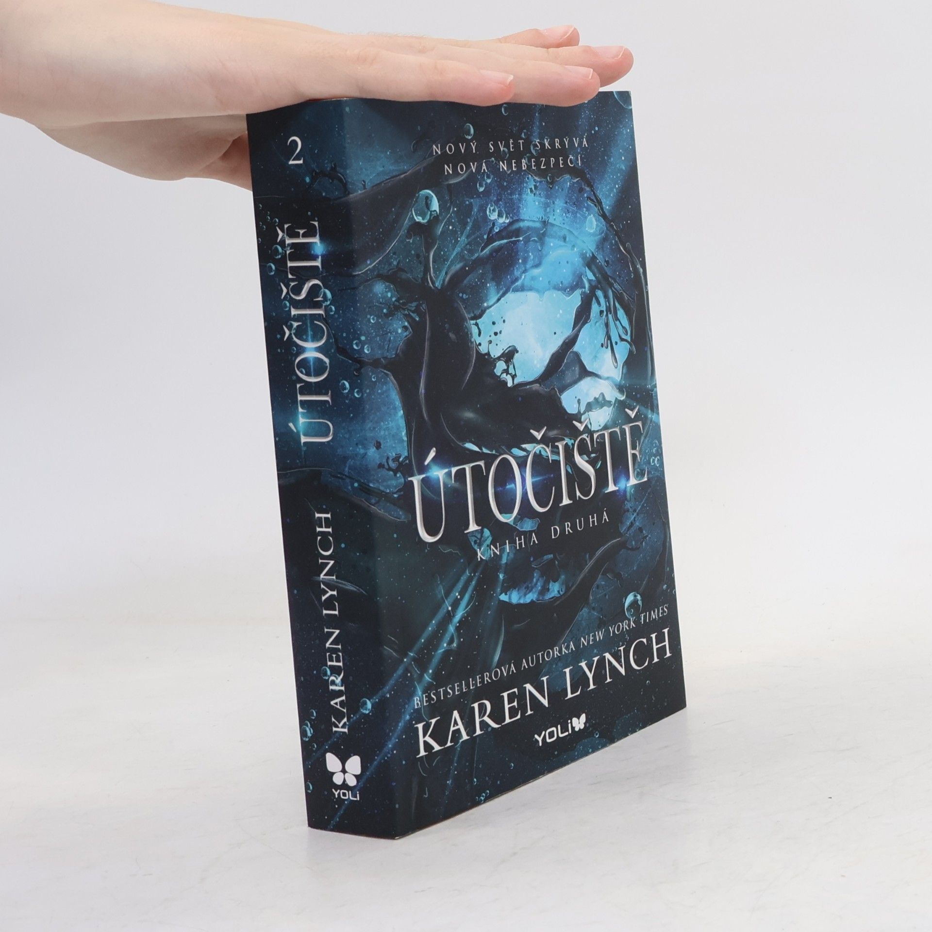 Karen Karen A. Lynch Útočiště