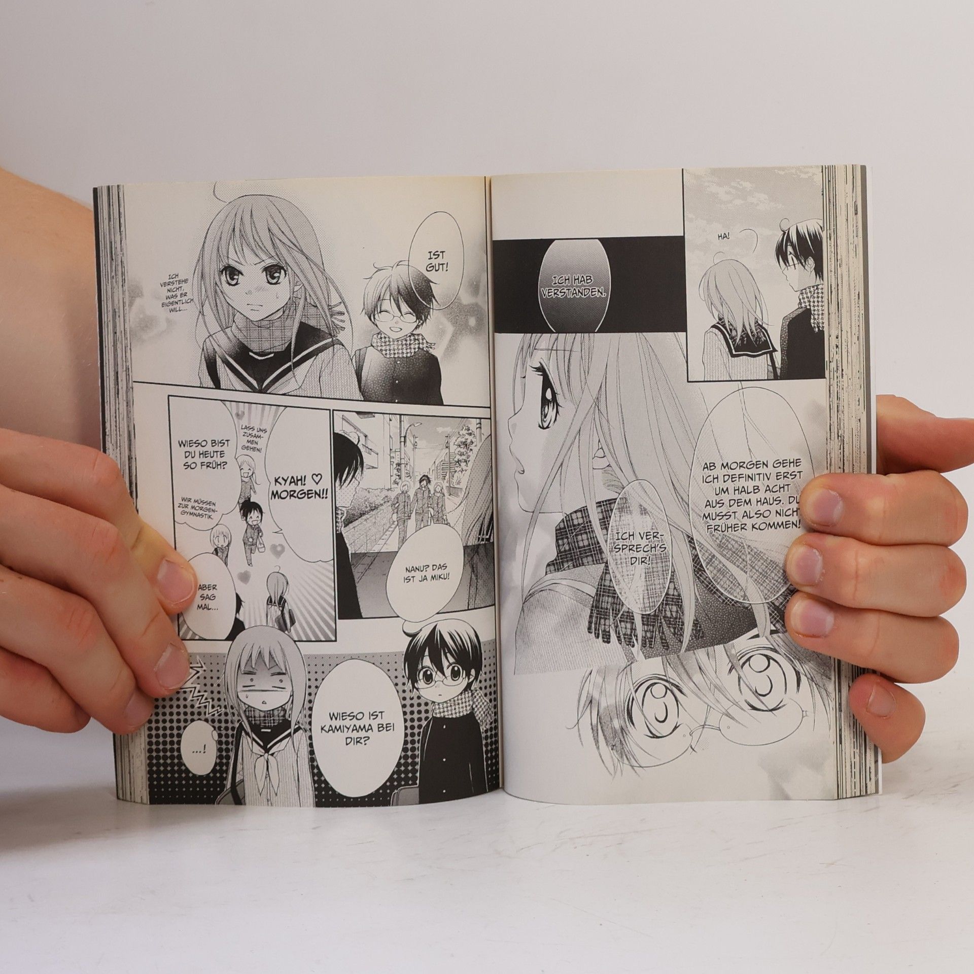 Kyoko Kumagai Der purpurne Fächer