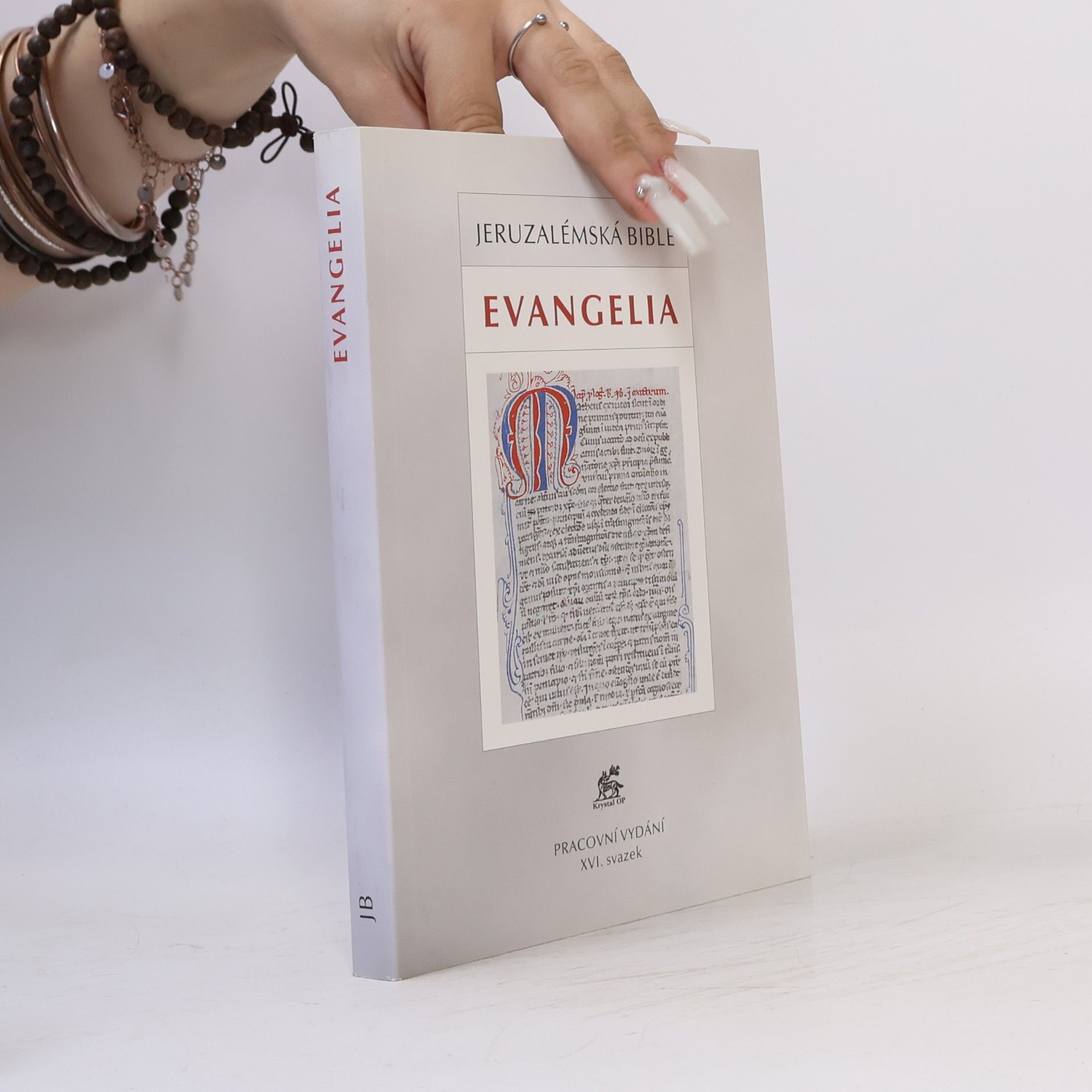 Kolektiv autorů Kniha Jeruzalémská bible - XVI. svazek, Evangelia