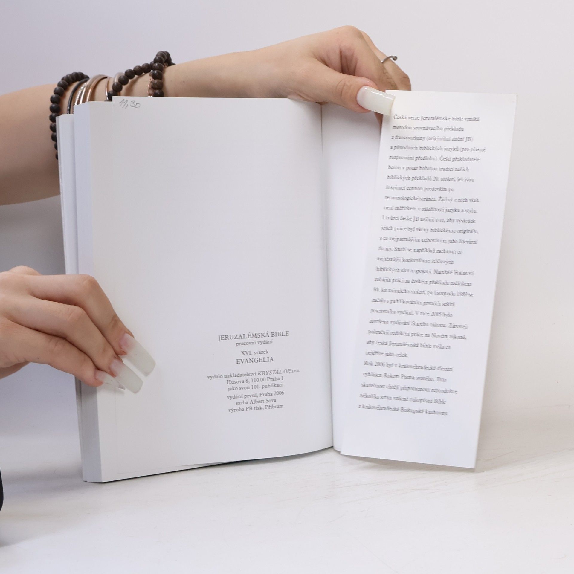 Kolektiv autorů Kniha Jeruzalémská bible - XVI. svazek, Evangelia
