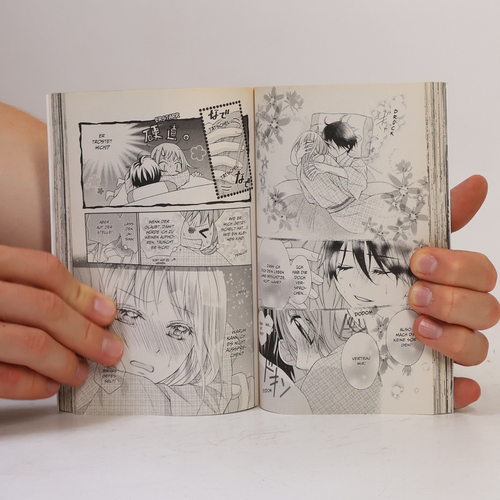 Kyoko Kumagai Der purpurne Fächer