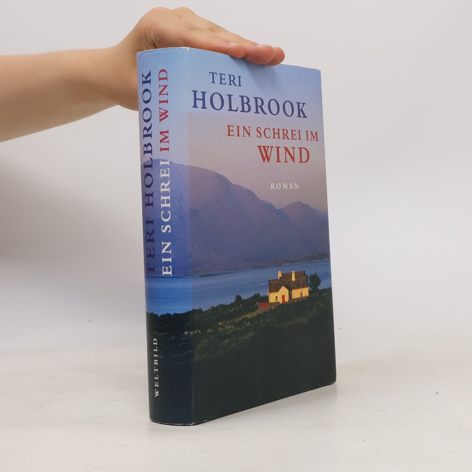 Teri Holbrook Ein Schrei im Wind