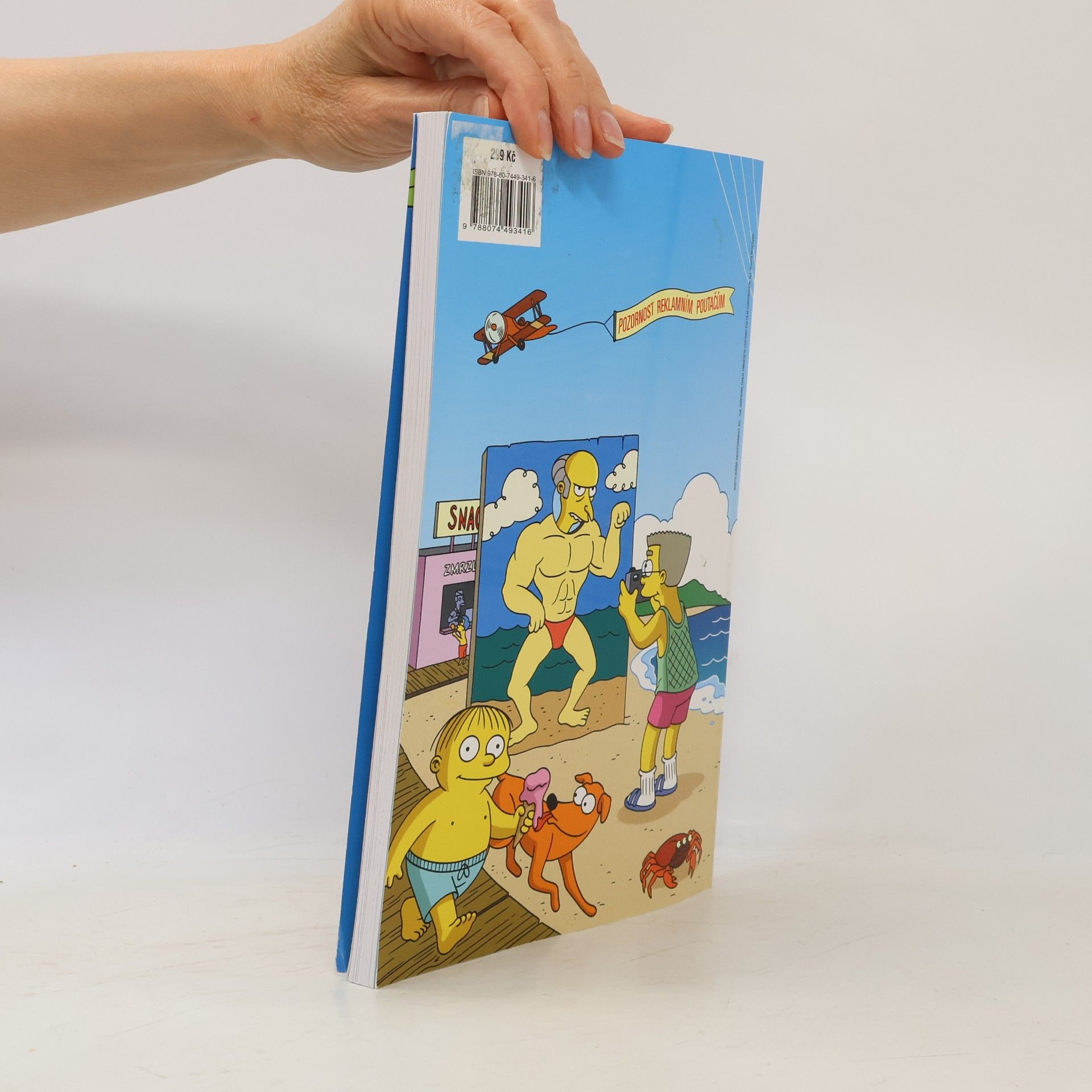 Petr Putna Simpsonovi : komiksové lážo-plážo
