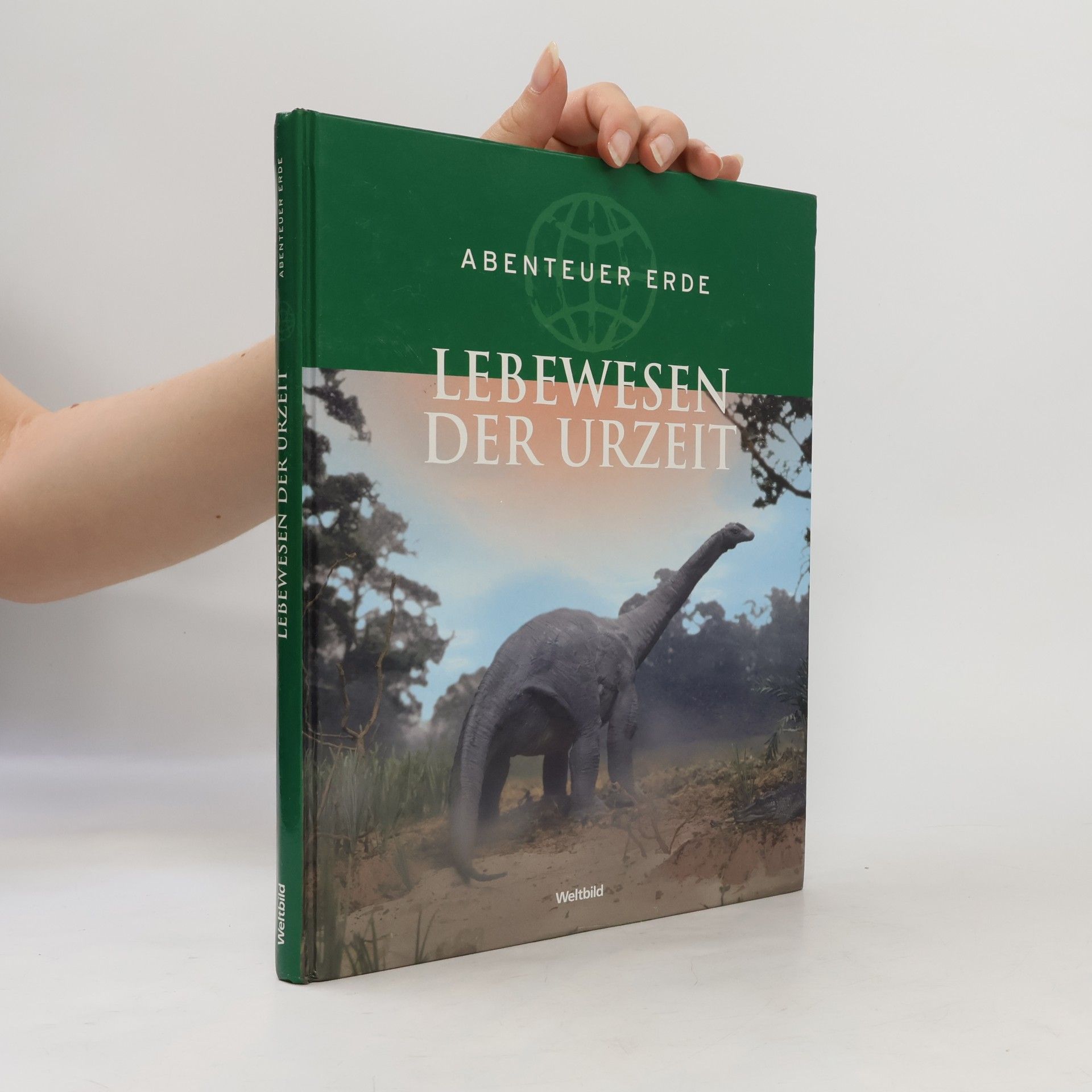 Autorenkollektiv Lebewesen der Urzeit