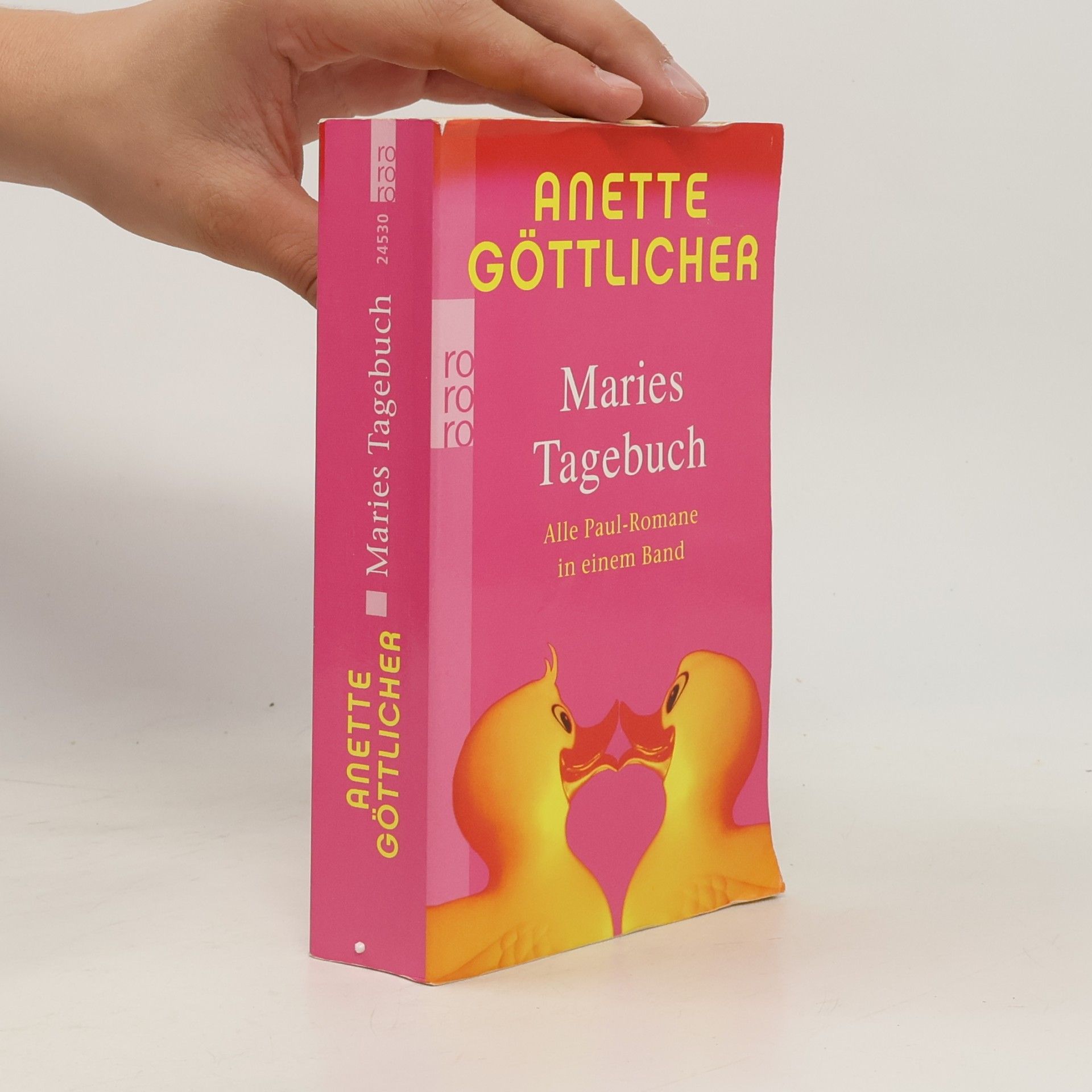 Anette Göttlicher Maries Tagebuch