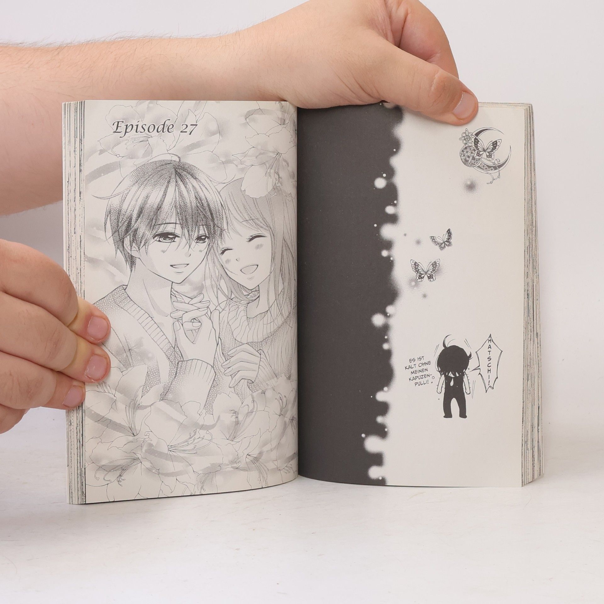 Kyoko Kumagai Der purpurne Fächer
