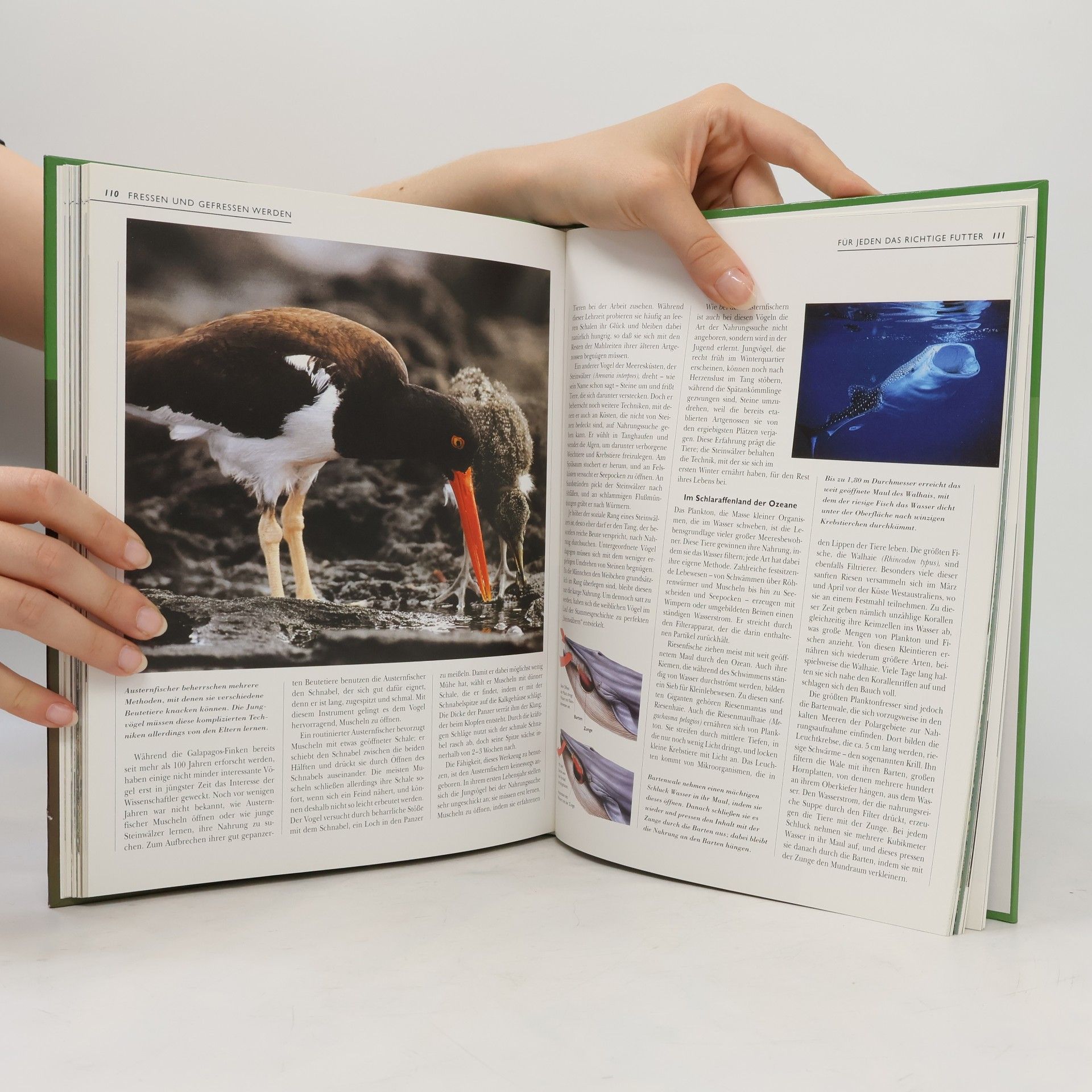 Autorenkollektiv Unbekannte Tierwelt