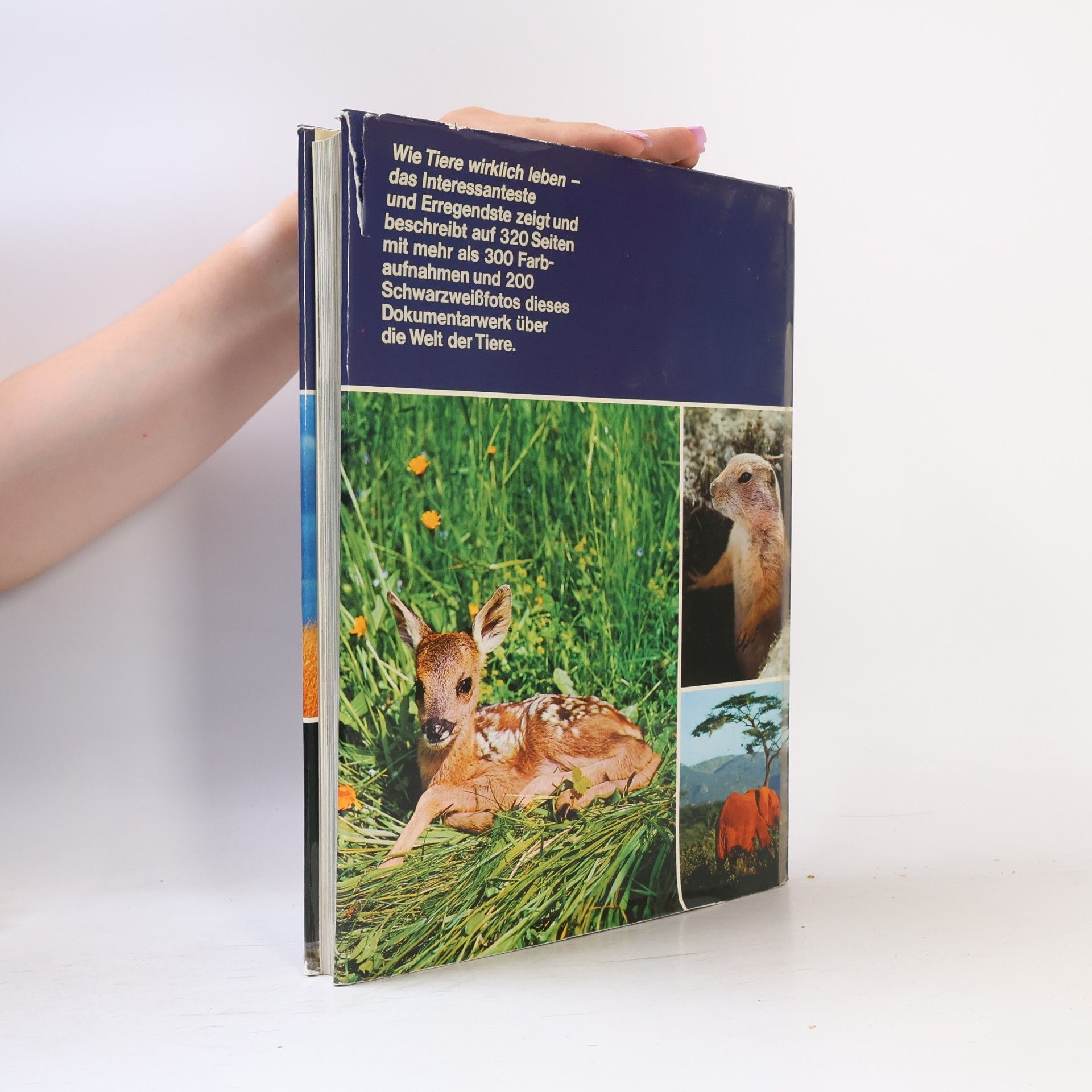 Various authors Wunderbare und geheimnisvolle Welt der Tiere