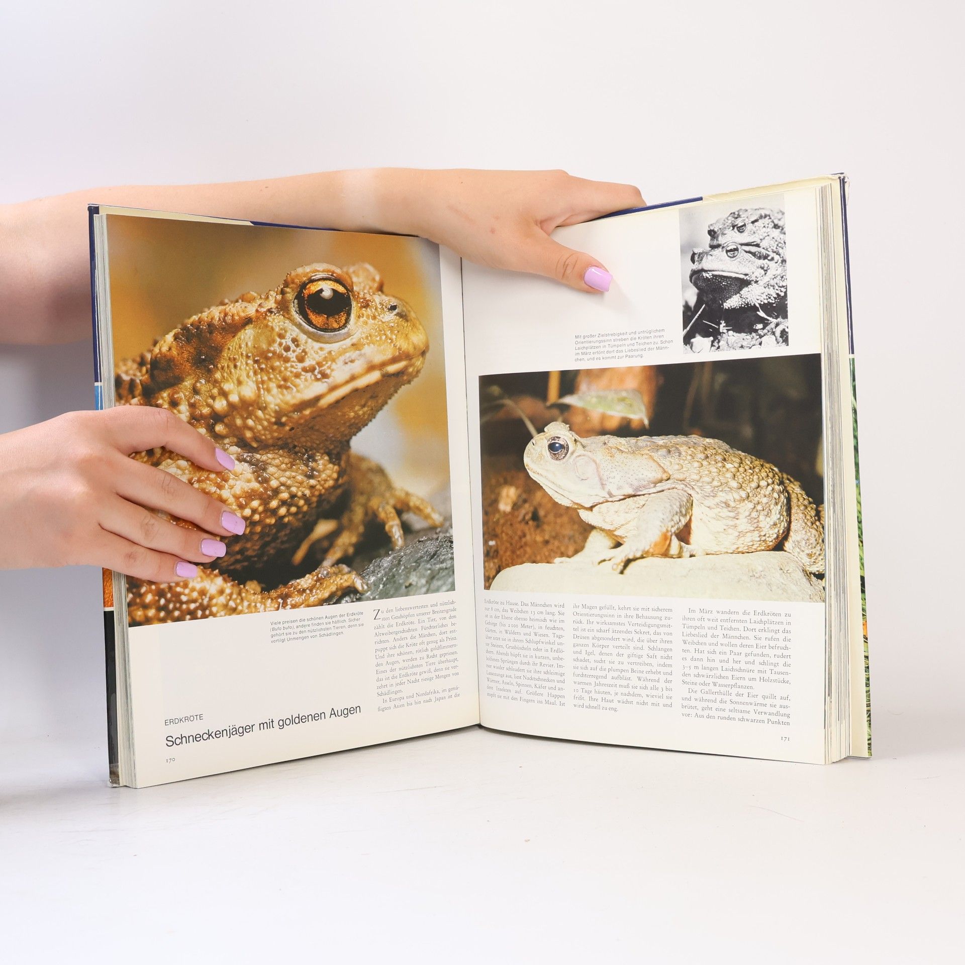 Various authors Wunderbare und geheimnisvolle Welt der Tiere