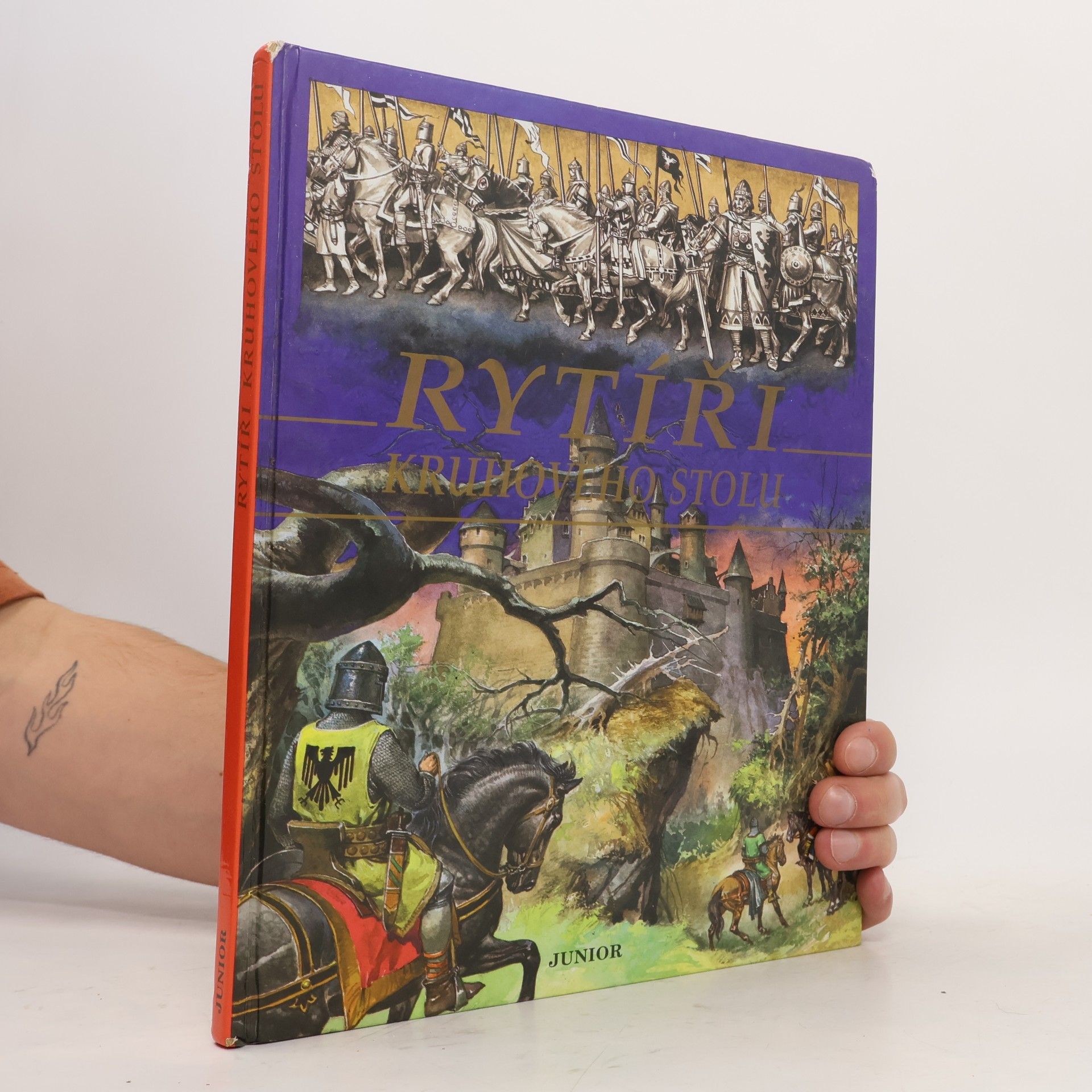 Mino Milani Rytíři kruhového stolu