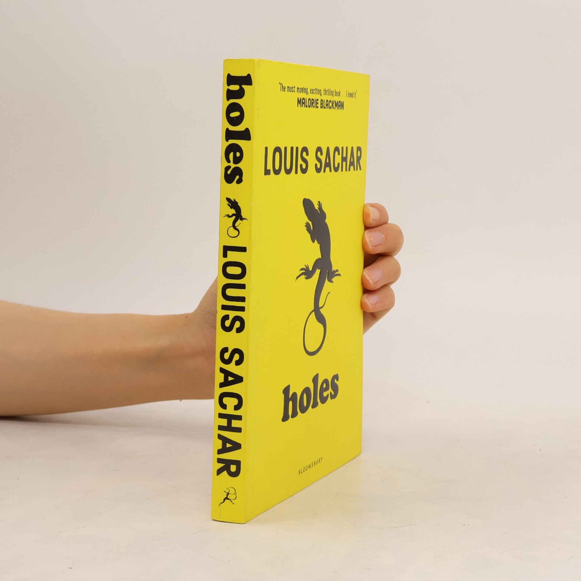 Louis Sachar Holes