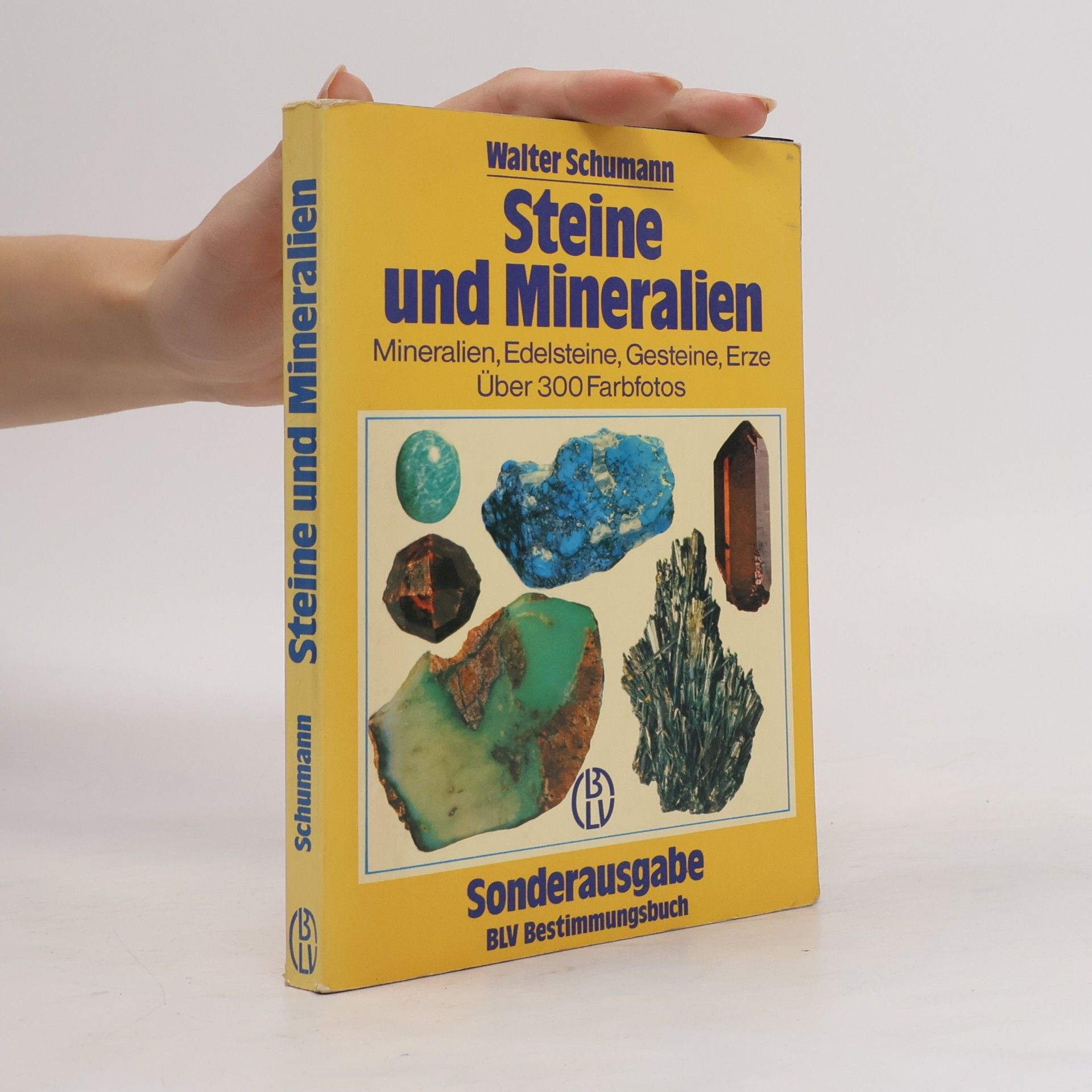 Walter Schumann Steine und Mineralien