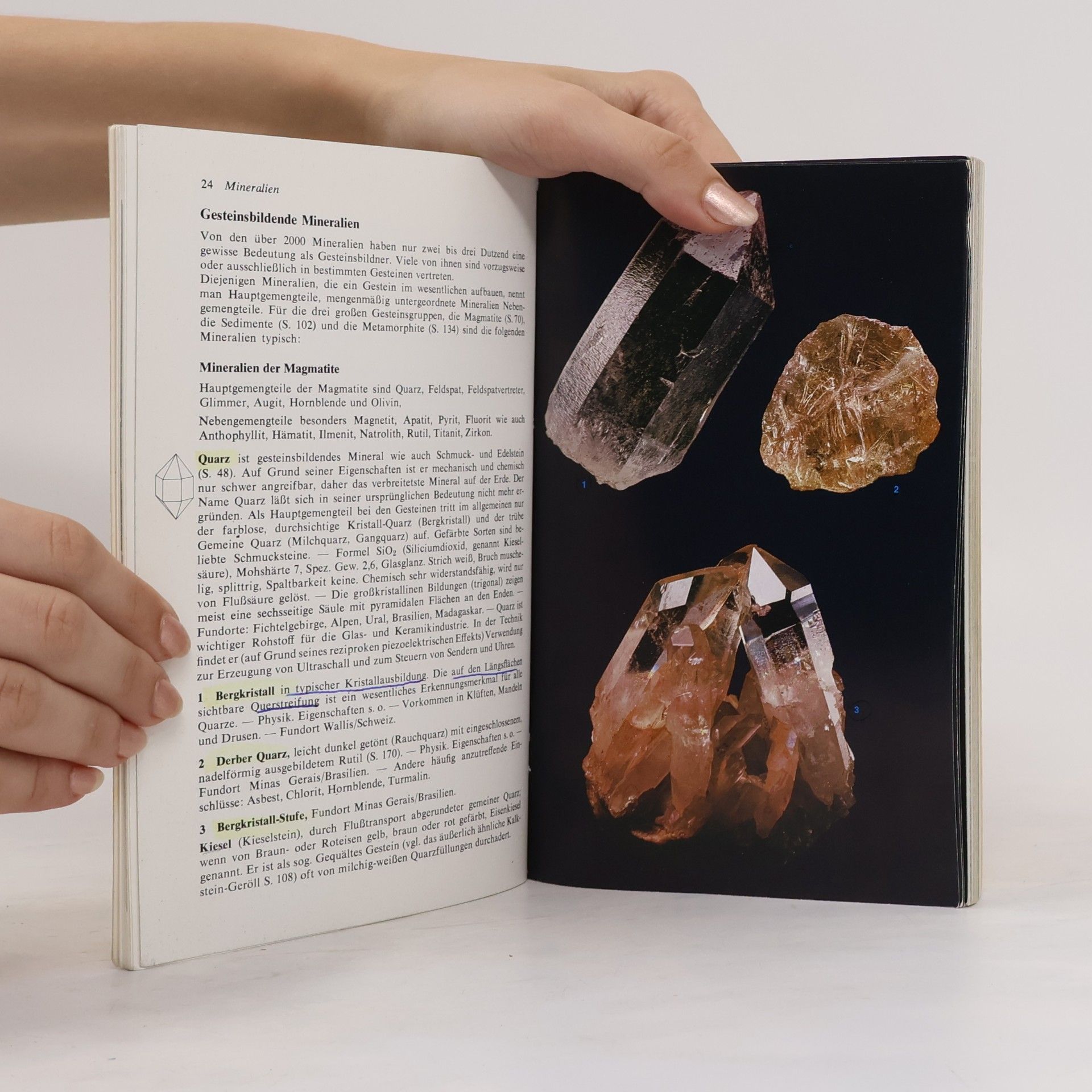 Walter Schumann Steine und Mineralien