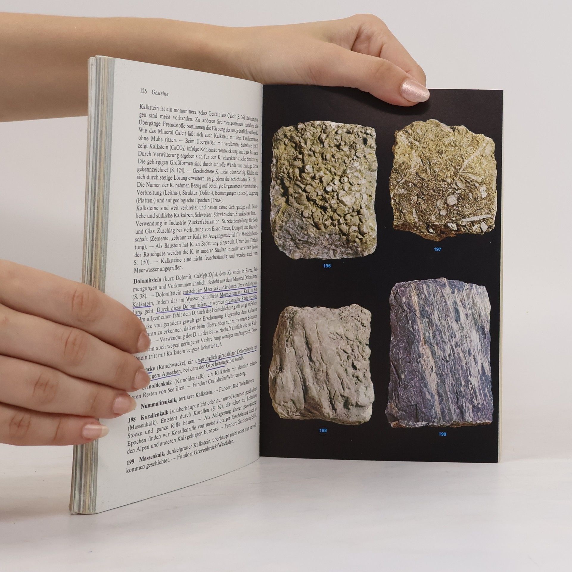 Walter Schumann Steine und Mineralien