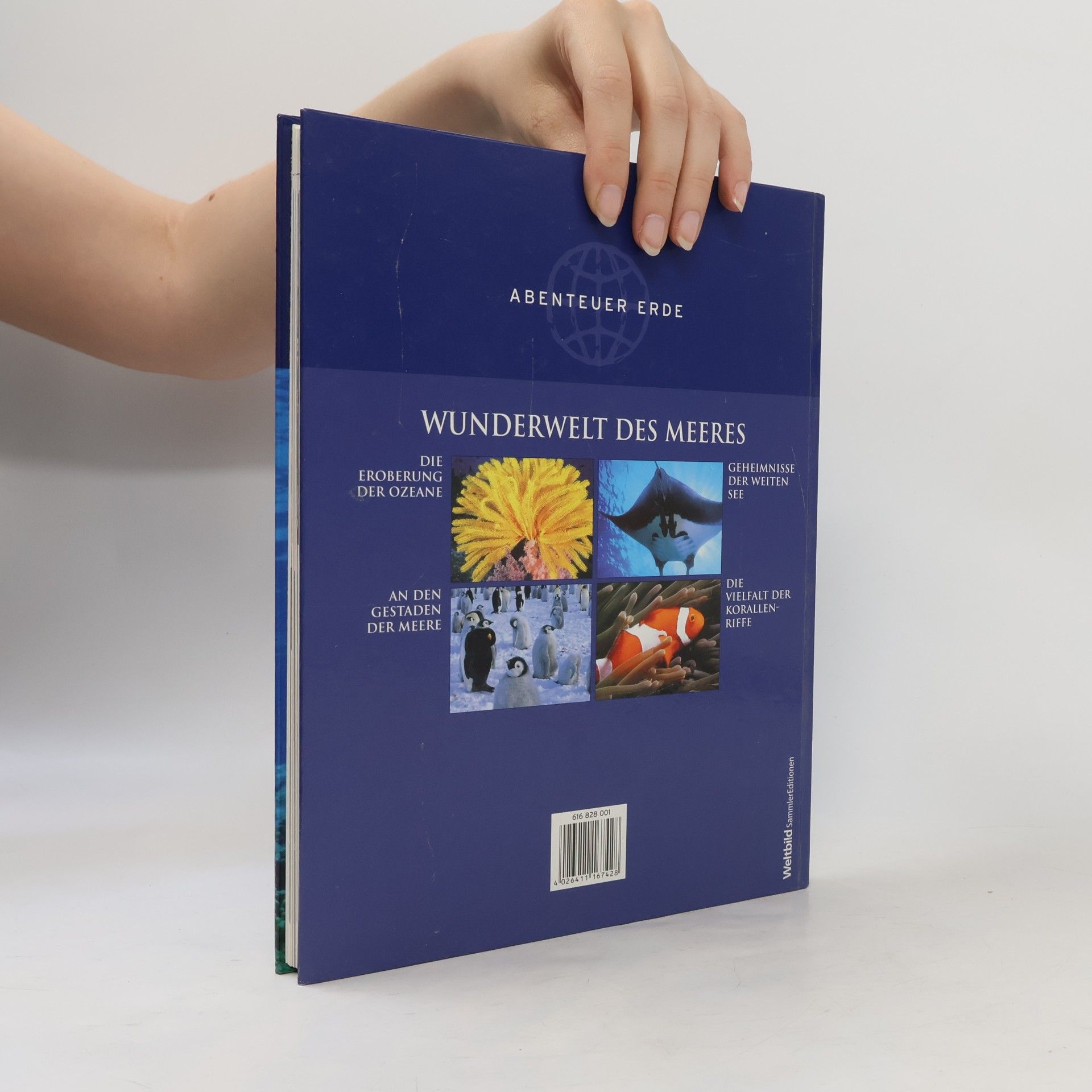 Collectif d'auteurs Abenteuer Erde. Wunderwelt des Meeres