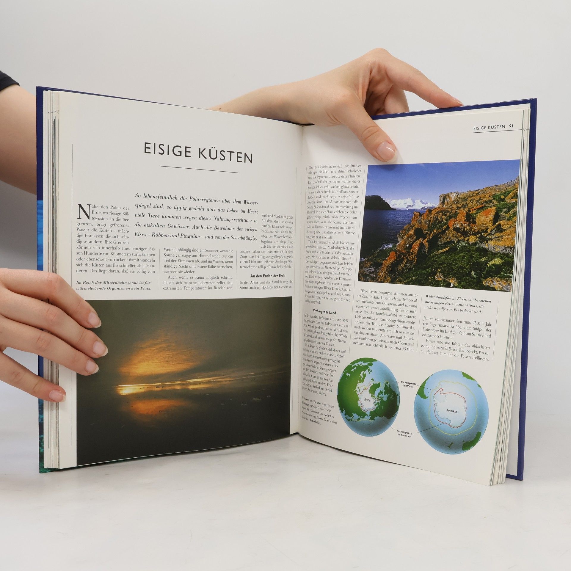 Collectif d'auteurs Abenteuer Erde. Wunderwelt des Meeres