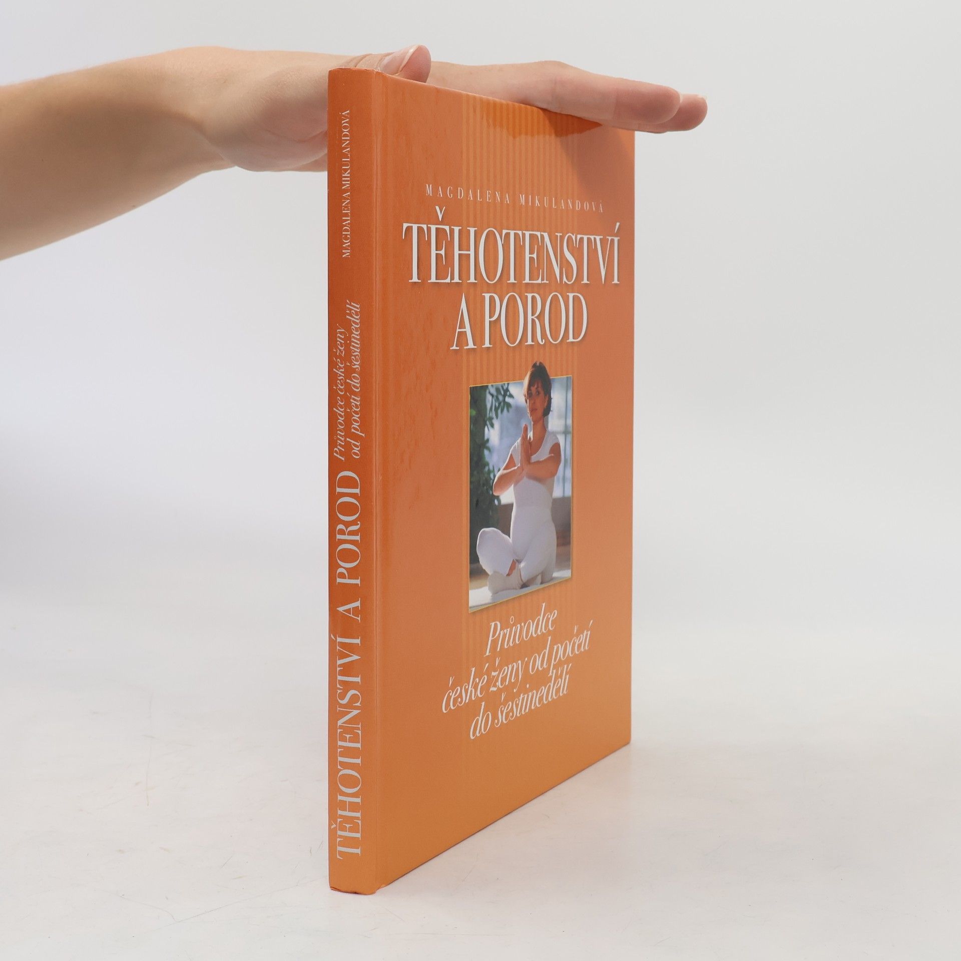 Magdalena Mikulandová Těhotenství a porod. Průvodce české ženy od početí do šestinedělí