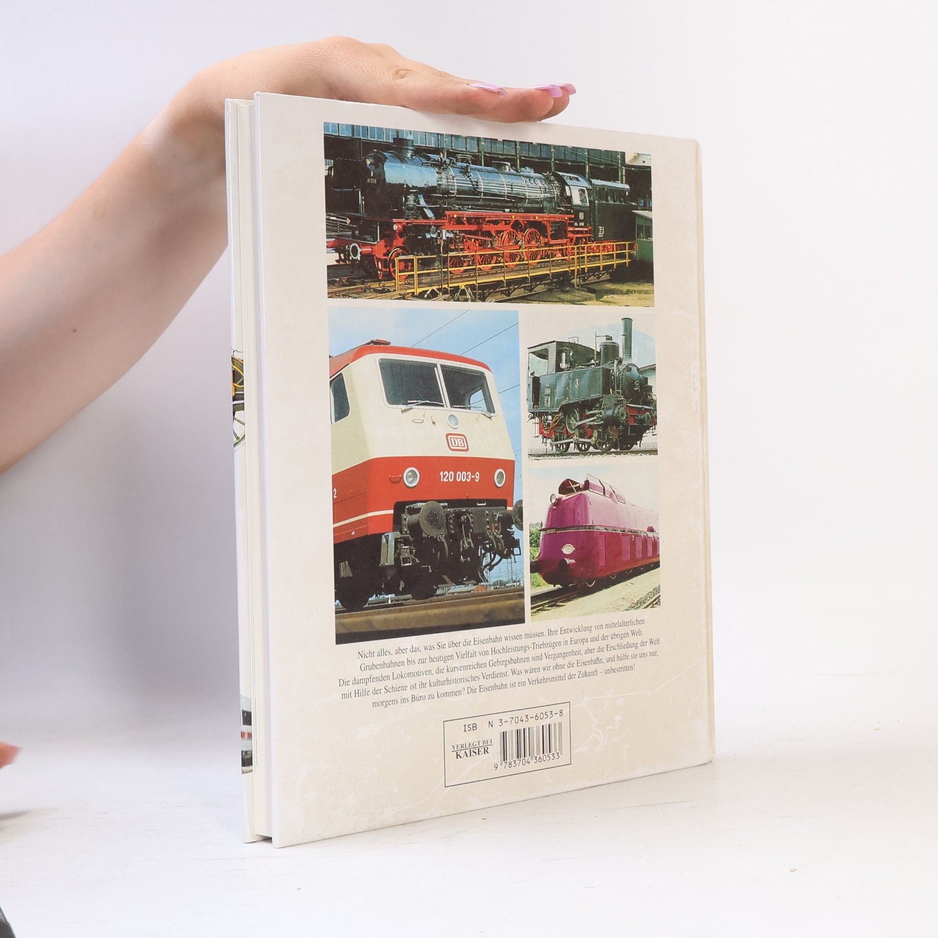 Rolf L. Temming Das grosse Eisenbahnbuch