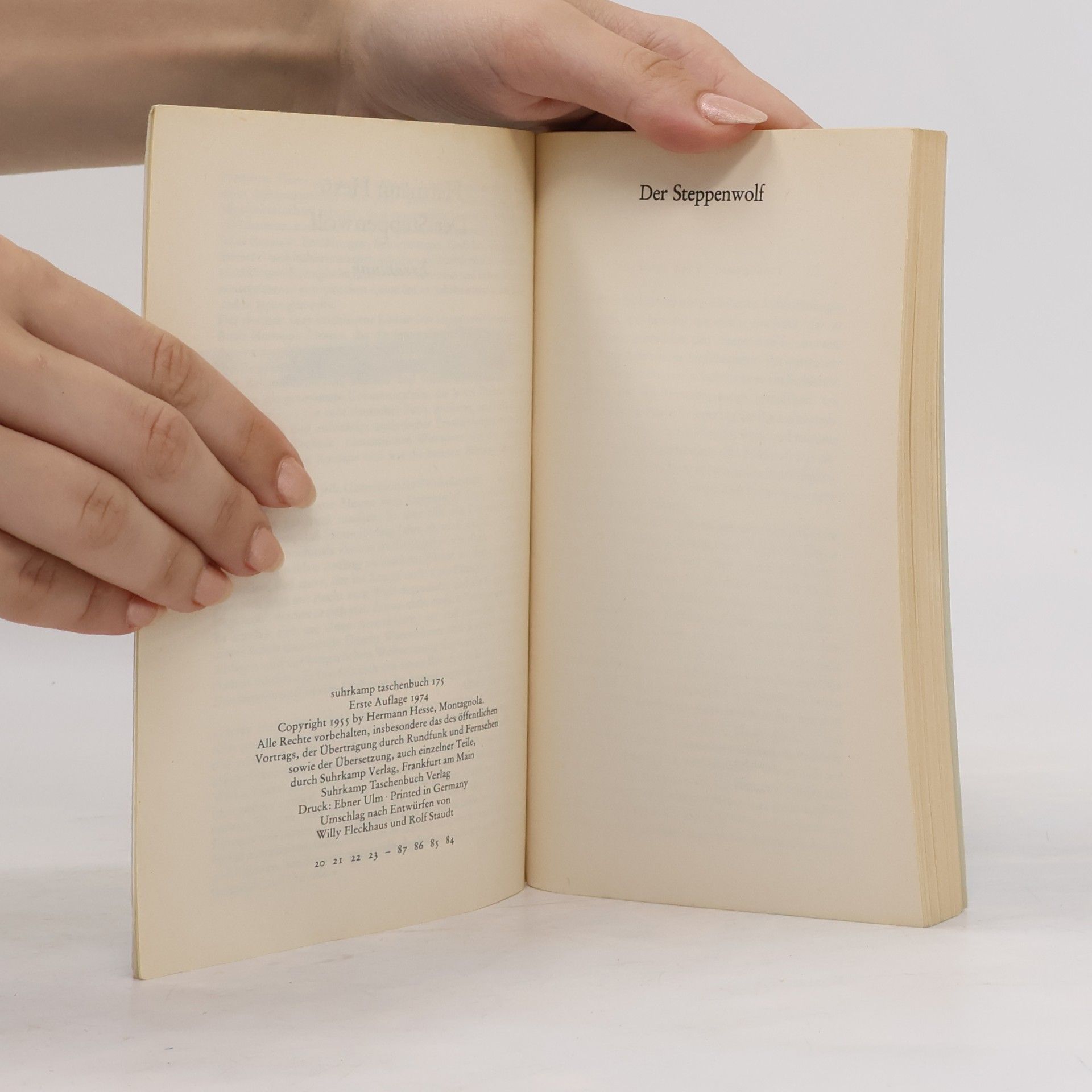 Hermann Hesse Der Steppenwolf