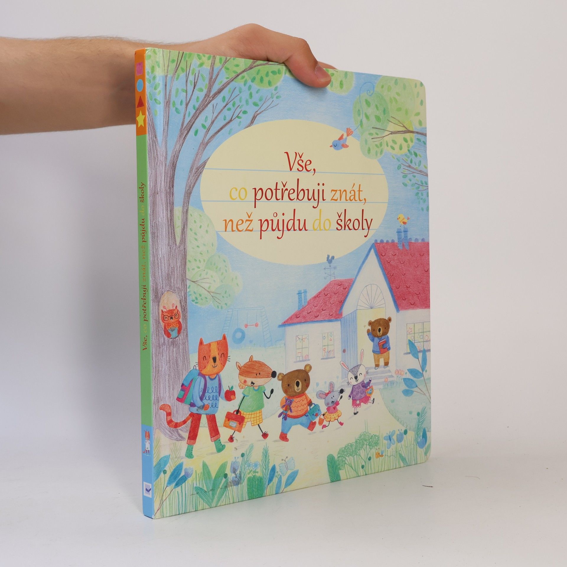 Felicity Brooks Vše, co potřebuji znát, než půjdu do školy