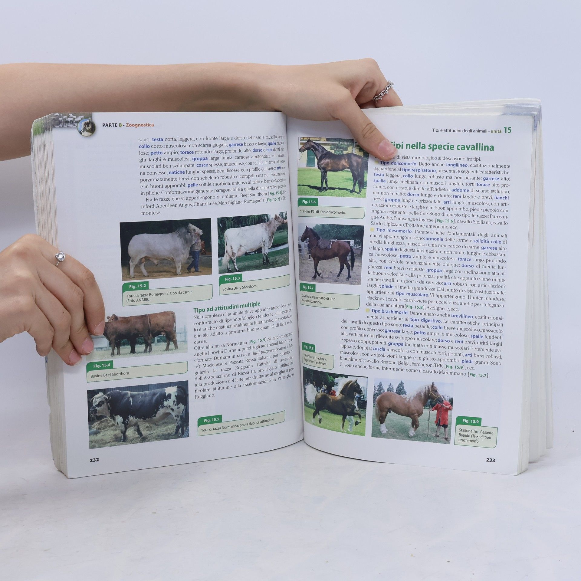 A. Veggetti Produzioni animali - A: Basi tecnico-scientifiche di zootecnica - Con Extrakit-Openbook. Per le scuole superiori. Con e-book. Con espansione online