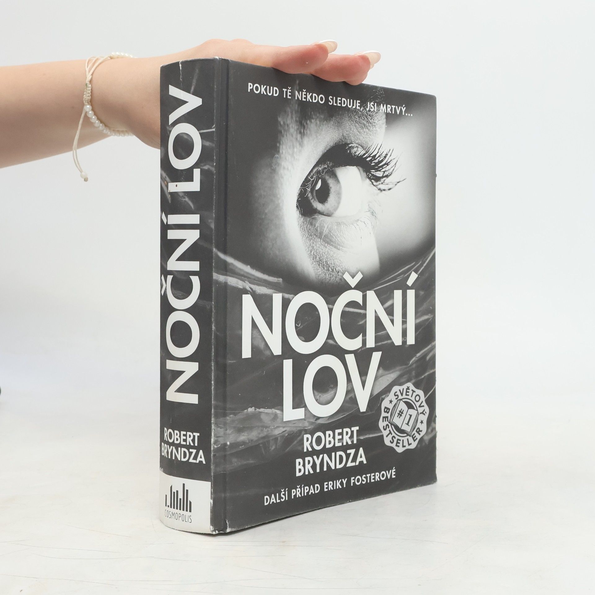 Robert Bryndza Noční lov