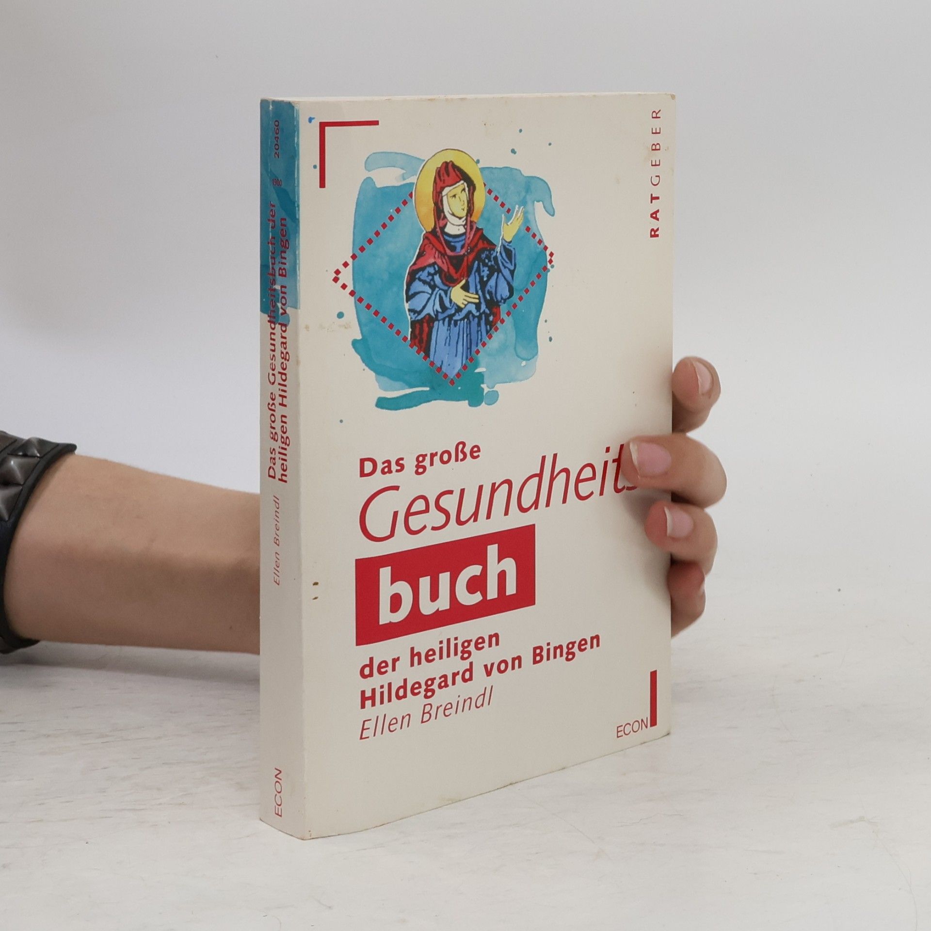 Das grosse Gesundheitsbuch der heiligen Hildegard von Bingen