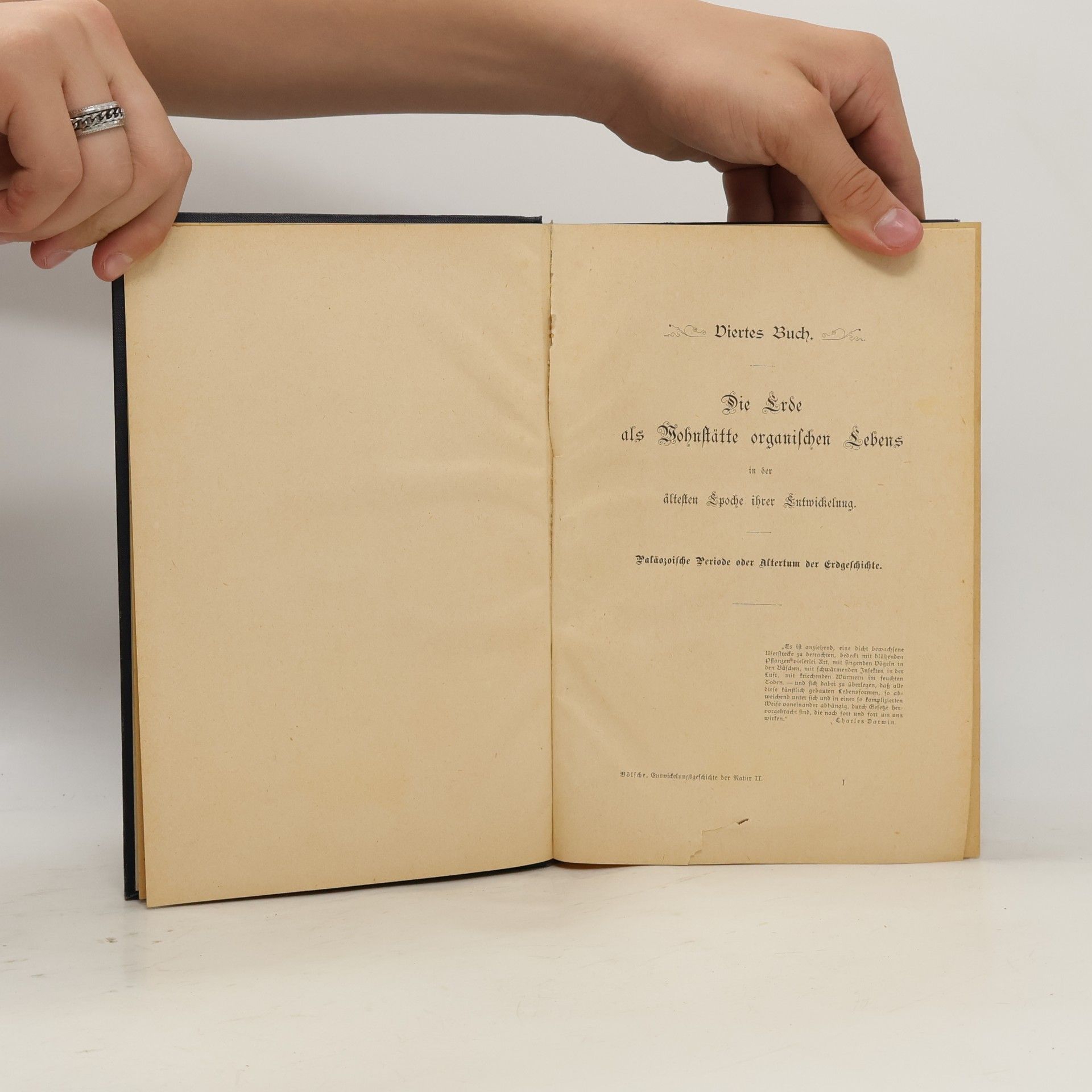 Wilhelm Bölsche Entwickelungsgeschichte der Natur II