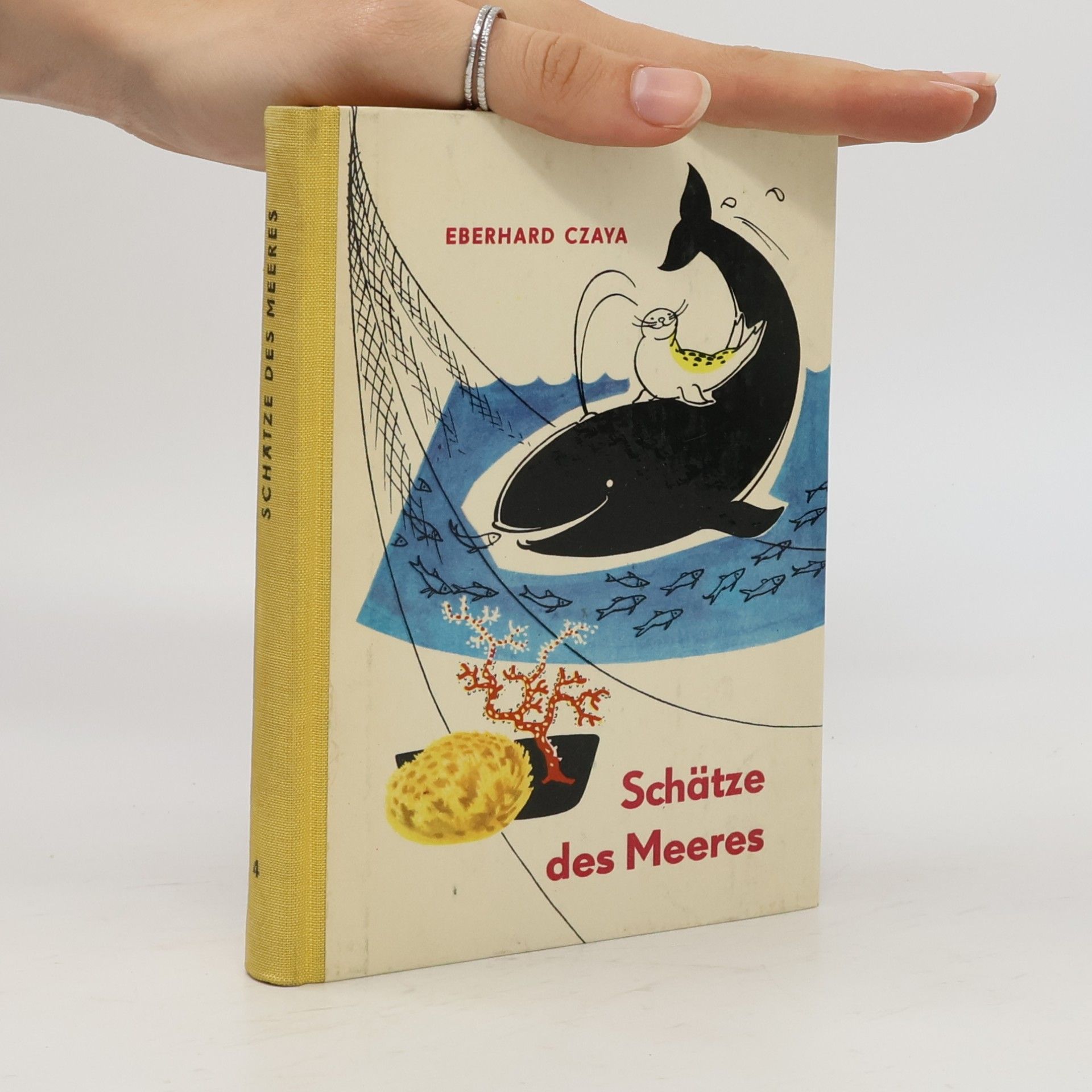 Schätze des Meeres