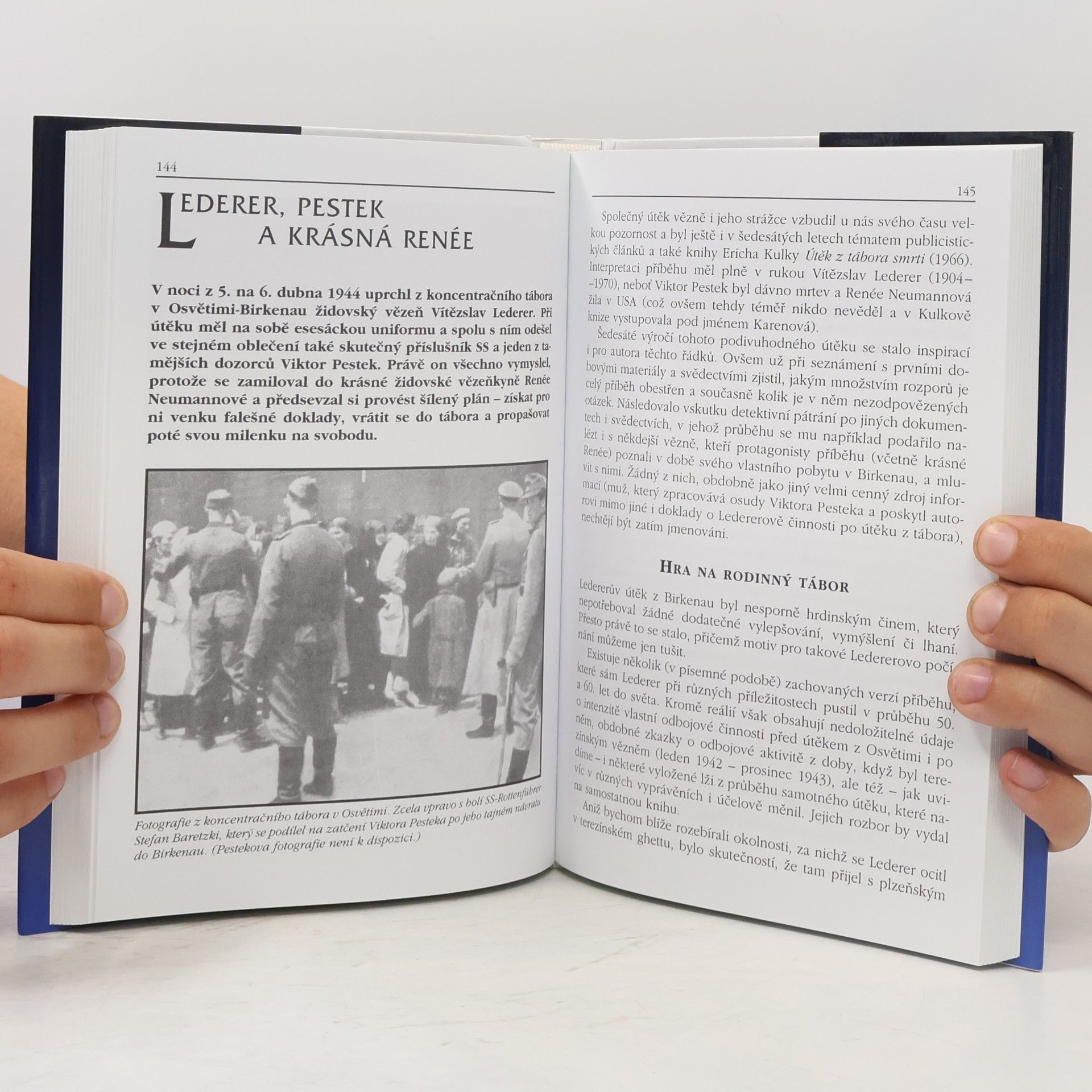 Miroslav Šiška Historické miniatury