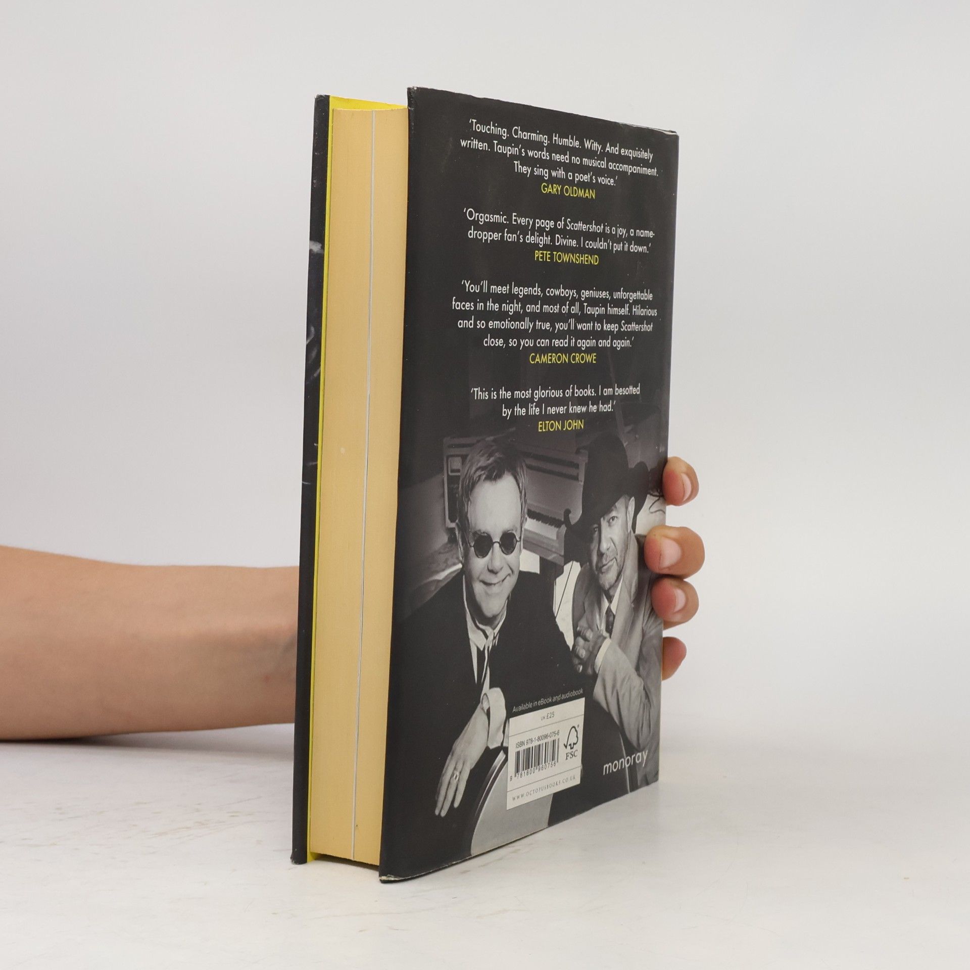 Bernie Taupin Scattershot: Life, Music, Elton and Me