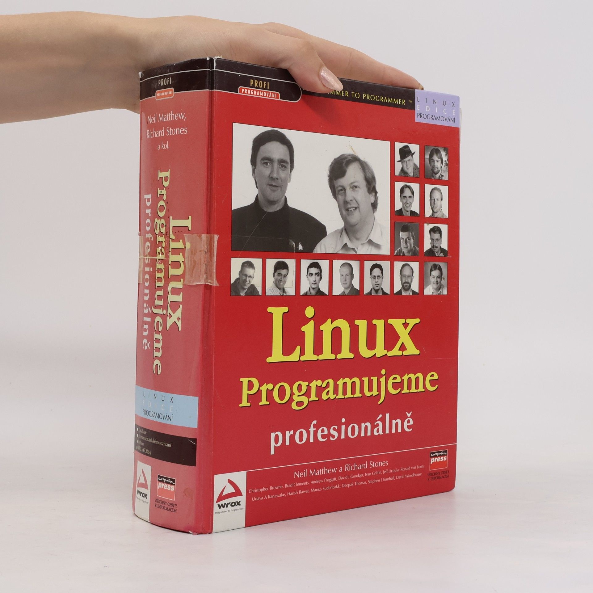 Neil Matthew Linux : programujeme profesionálně