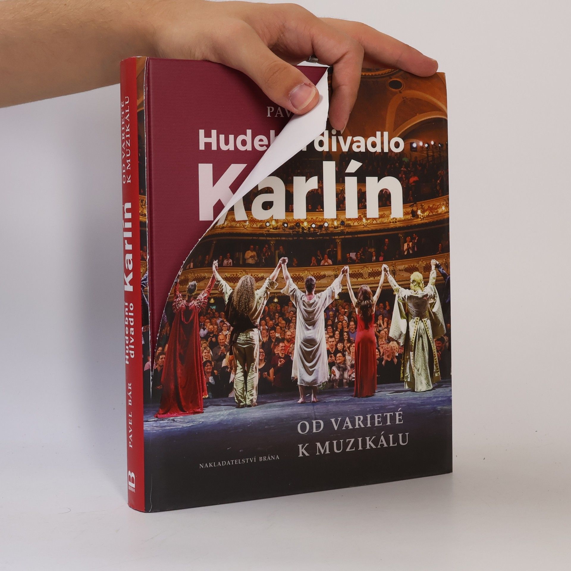 Pavel Bár Hudební divadlo Karlín : od varieté k muzikálu