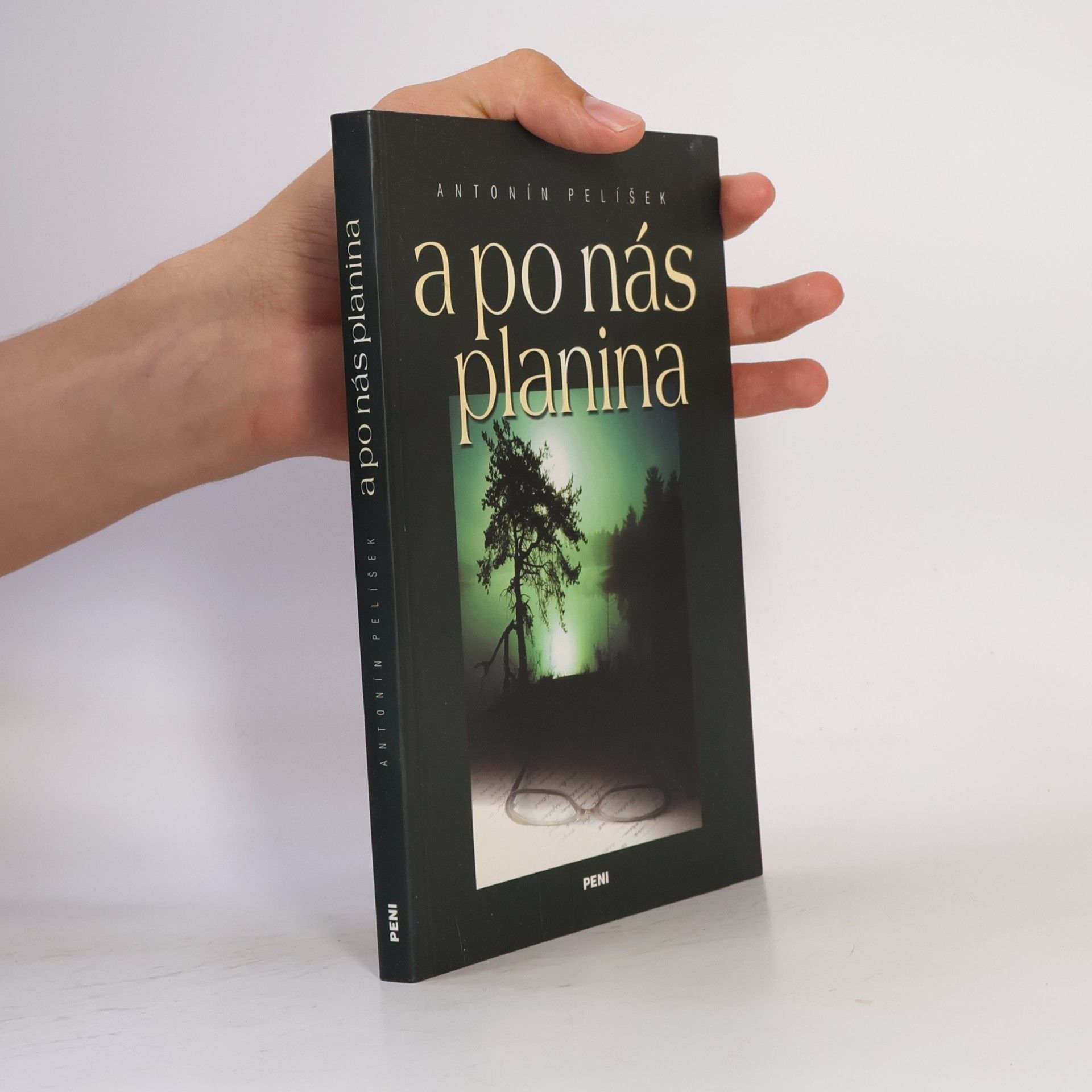A po nás planina